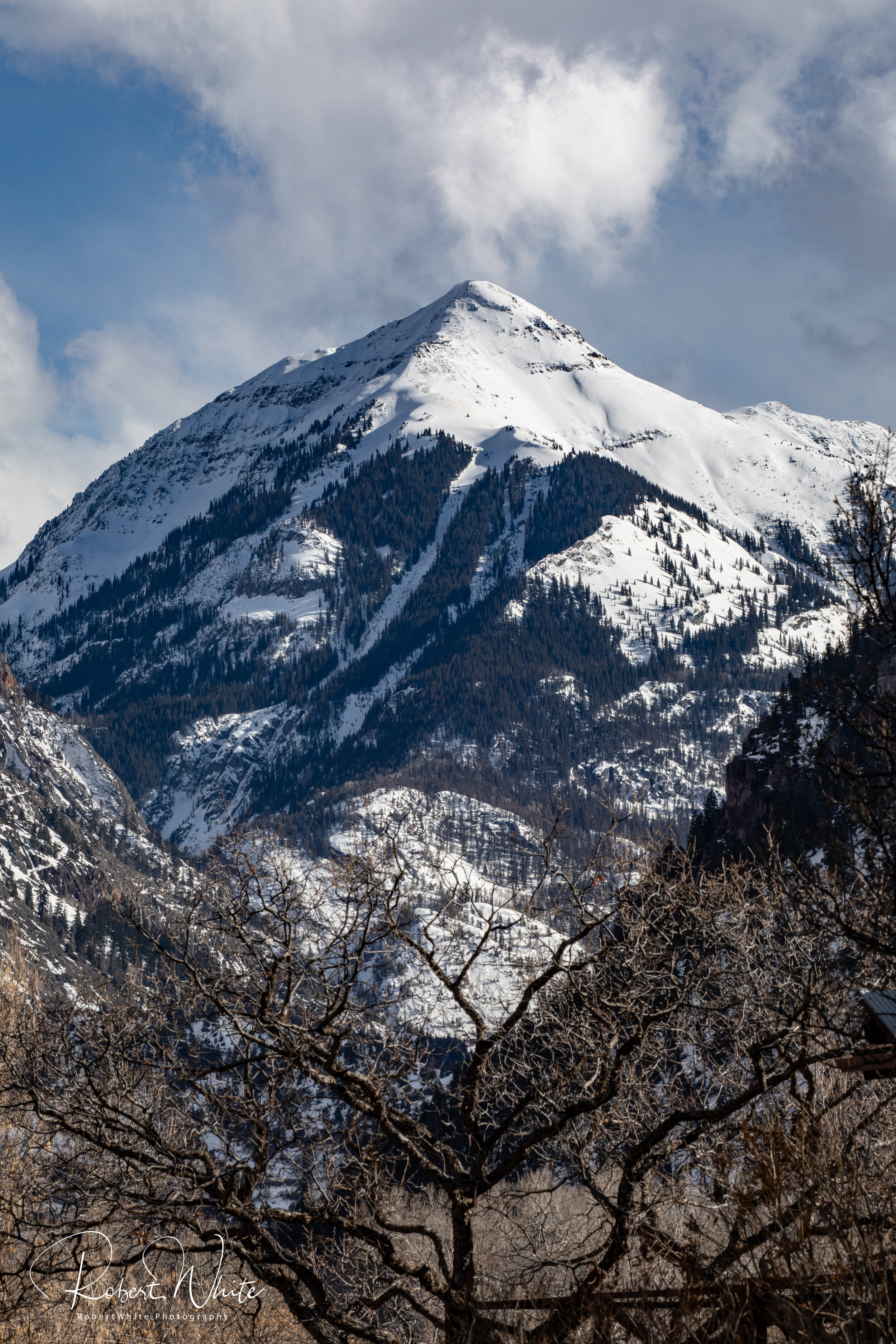 Colorado 2020 WM-19.jpg