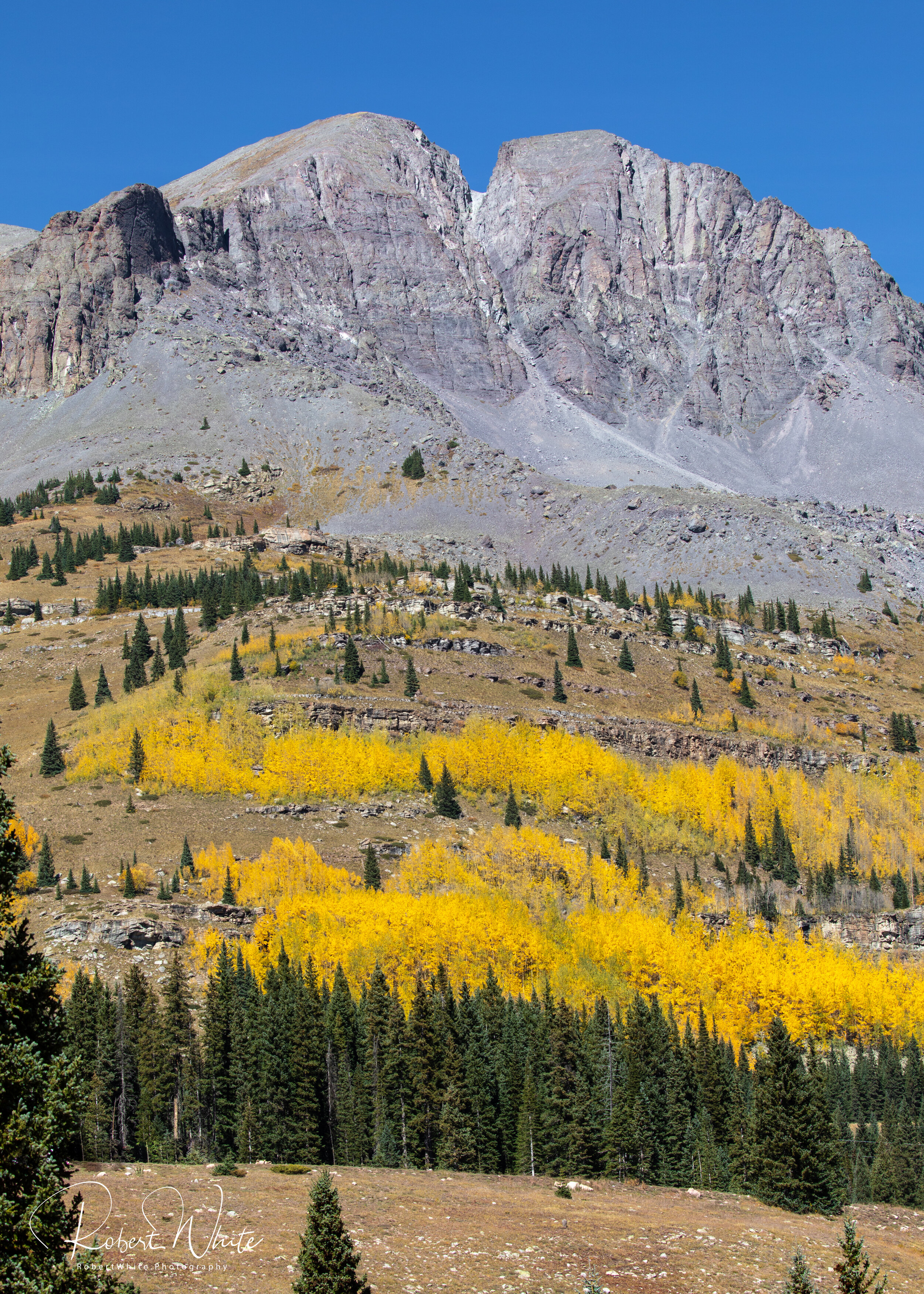 Web Colorado Fall 2020 -20.jpg