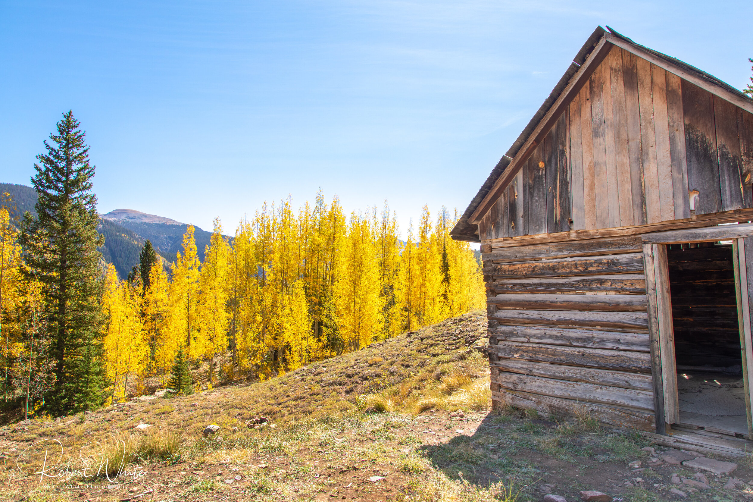 Web Colorado Fall 2020 -21.jpg