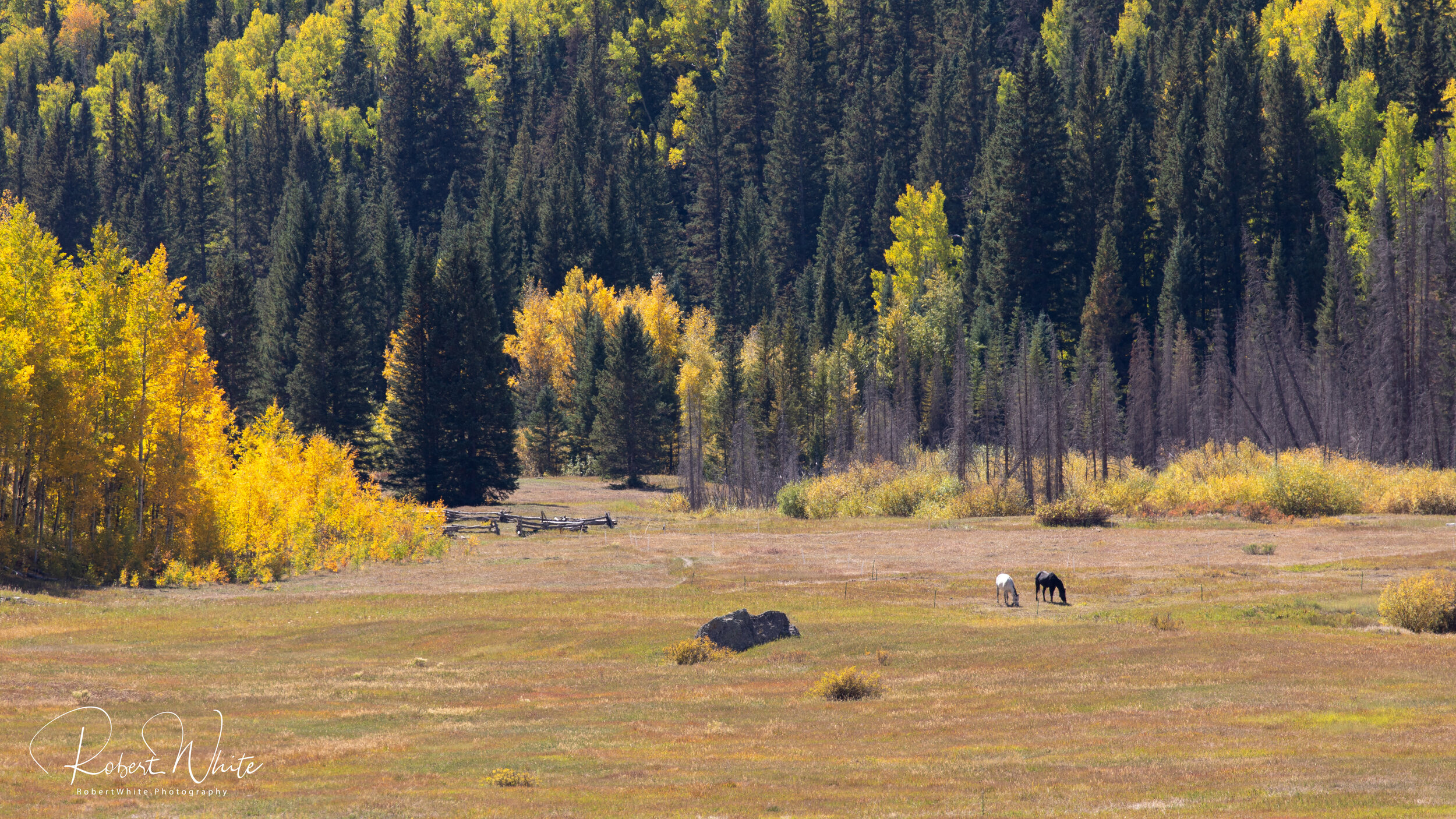 Web Colorado Fall 2020 -40.jpg