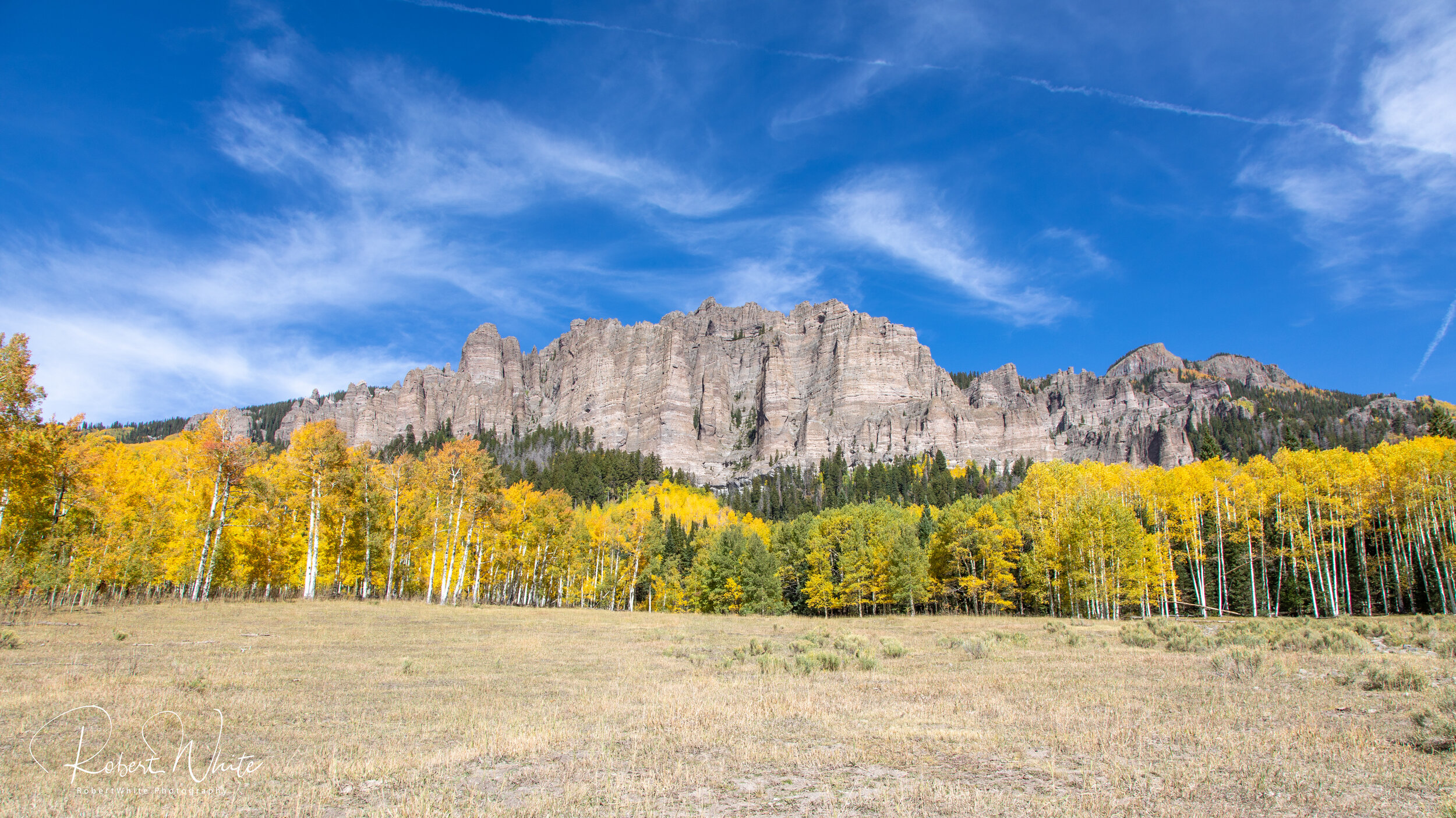 Web Colorado Fall 2020 -44.jpg