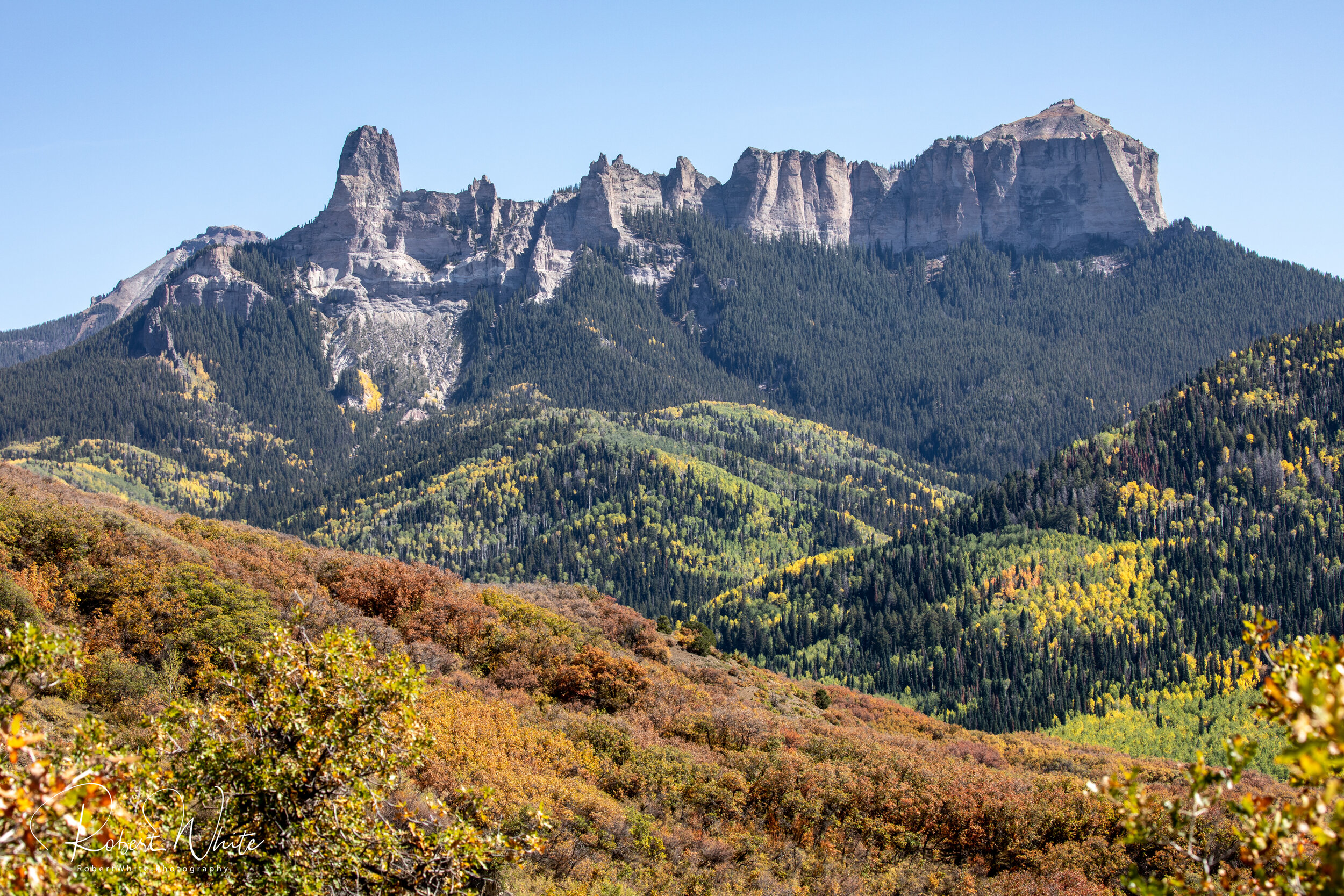 Web Colorado Fall 2020 -43.jpg