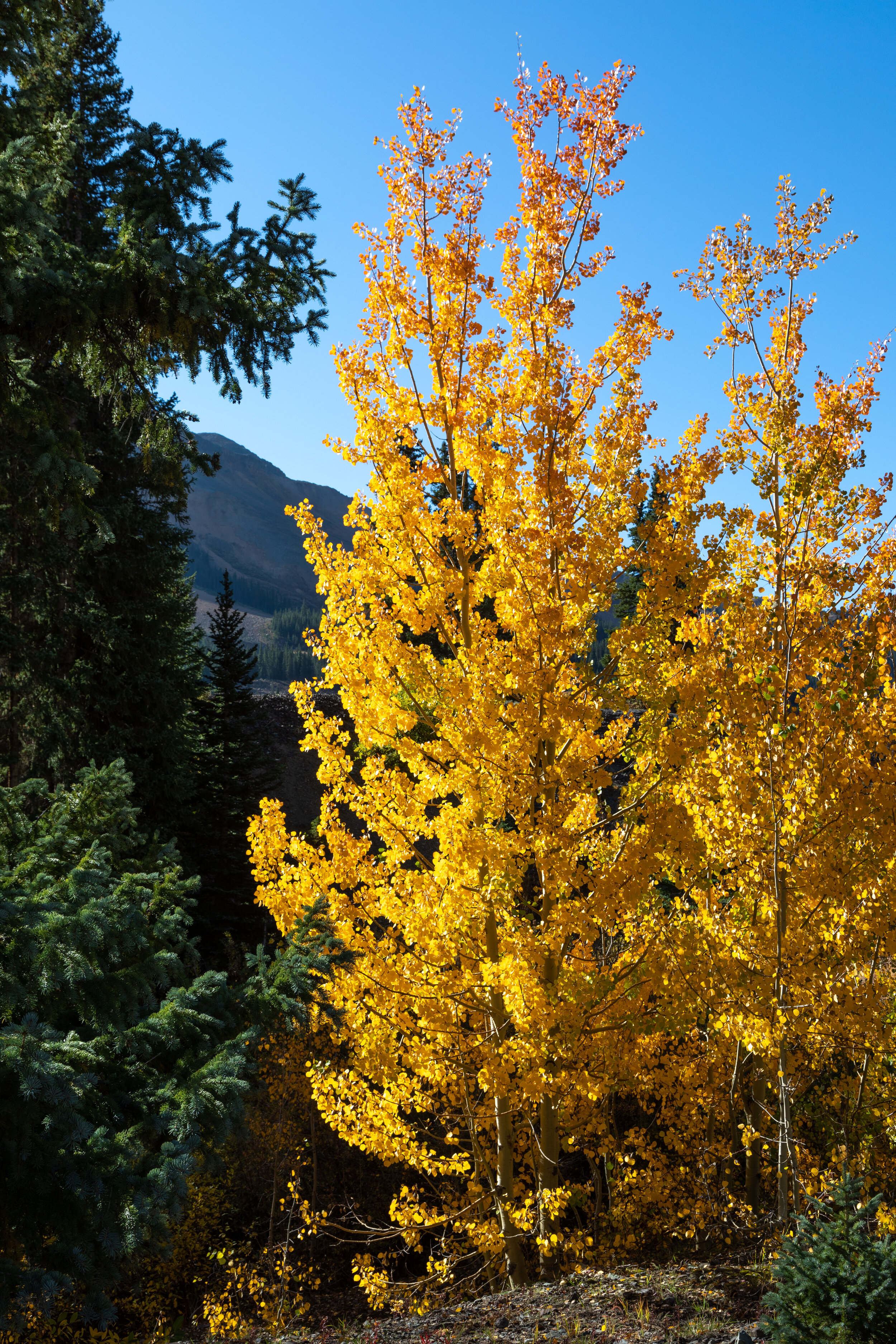 Fall Colors 2021 - Web -18.jpg