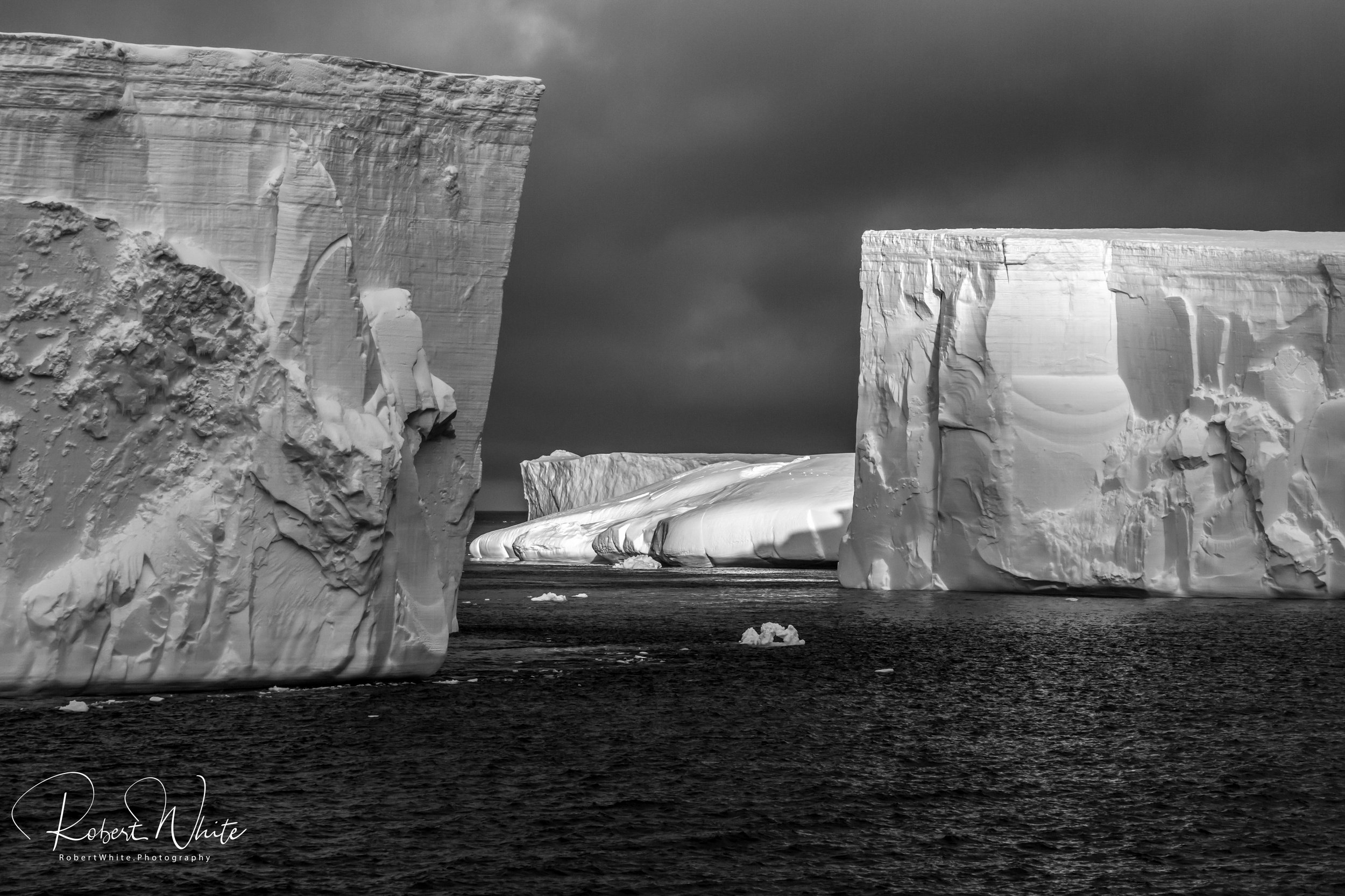 Antarctic-22.jpg