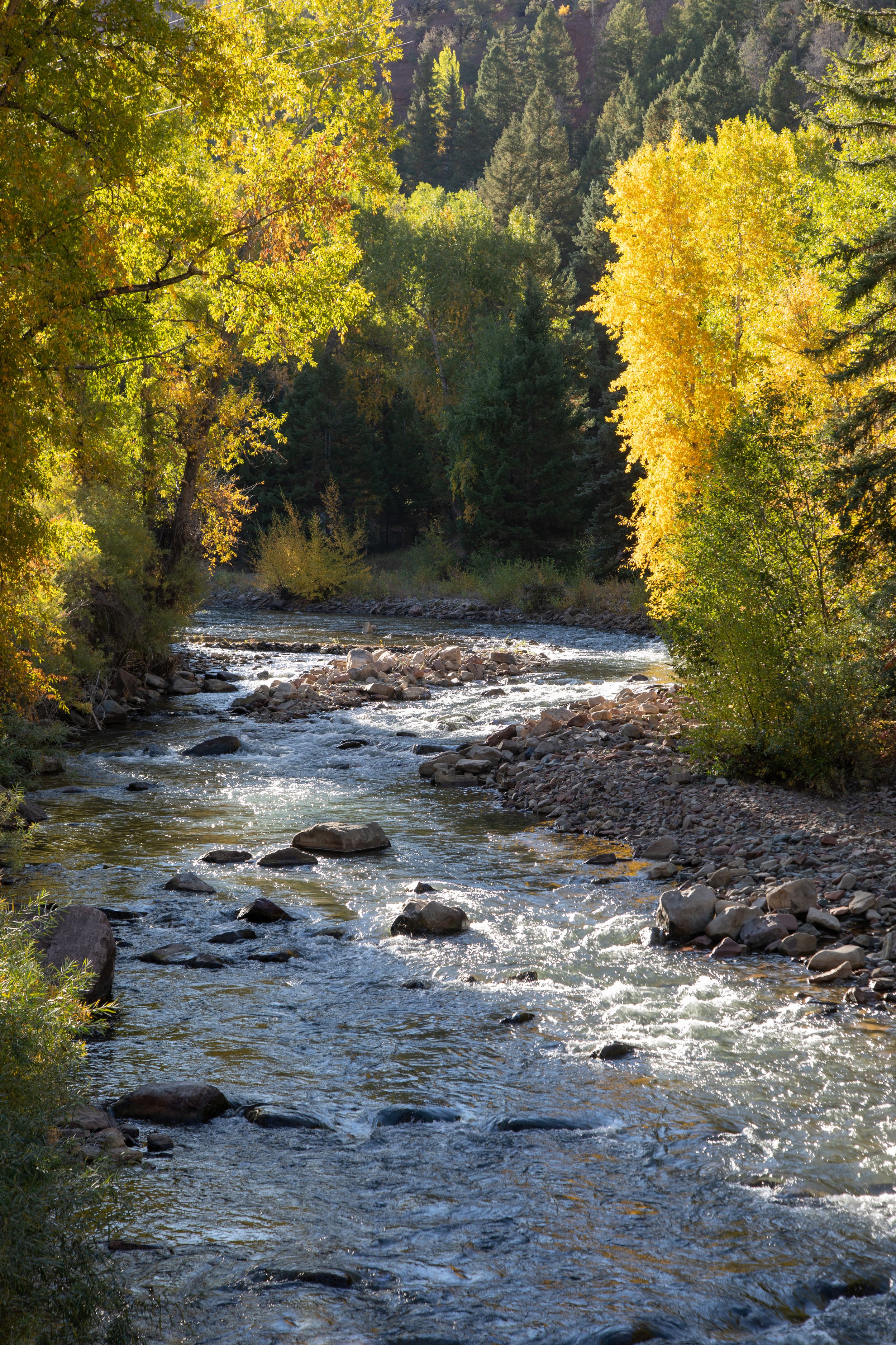 Colorado Fall 2020 -48.jpg