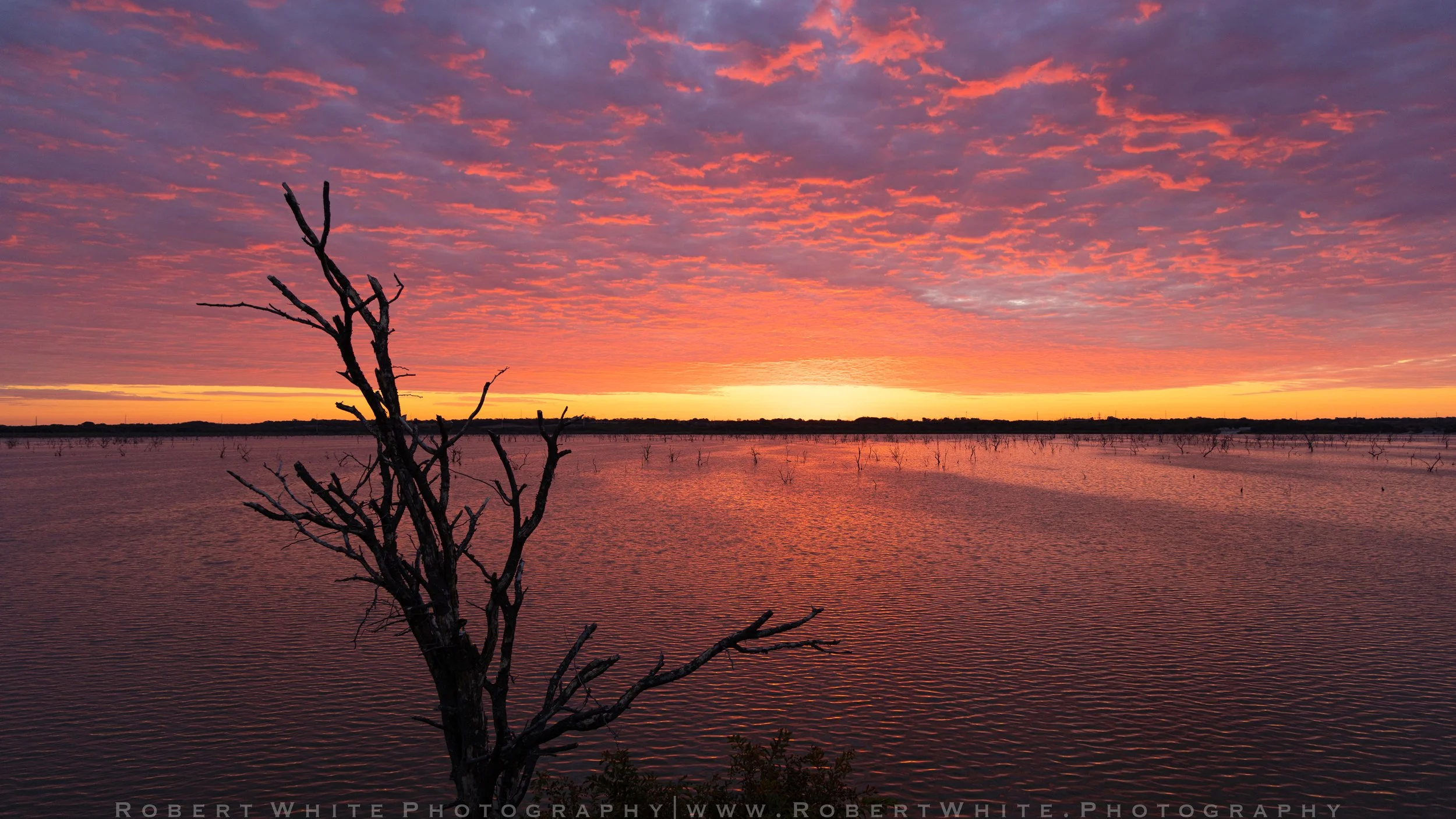 6 - 2024-10-19 WM Sunrise-2.jpg