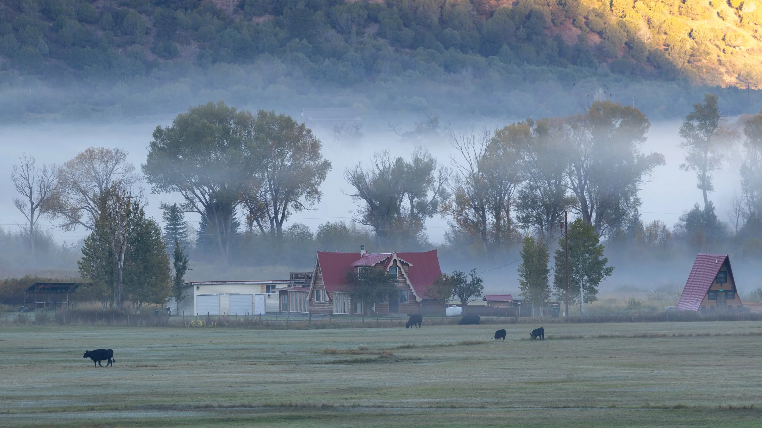  Foggy Farm Morning - Ridgway Colorado 