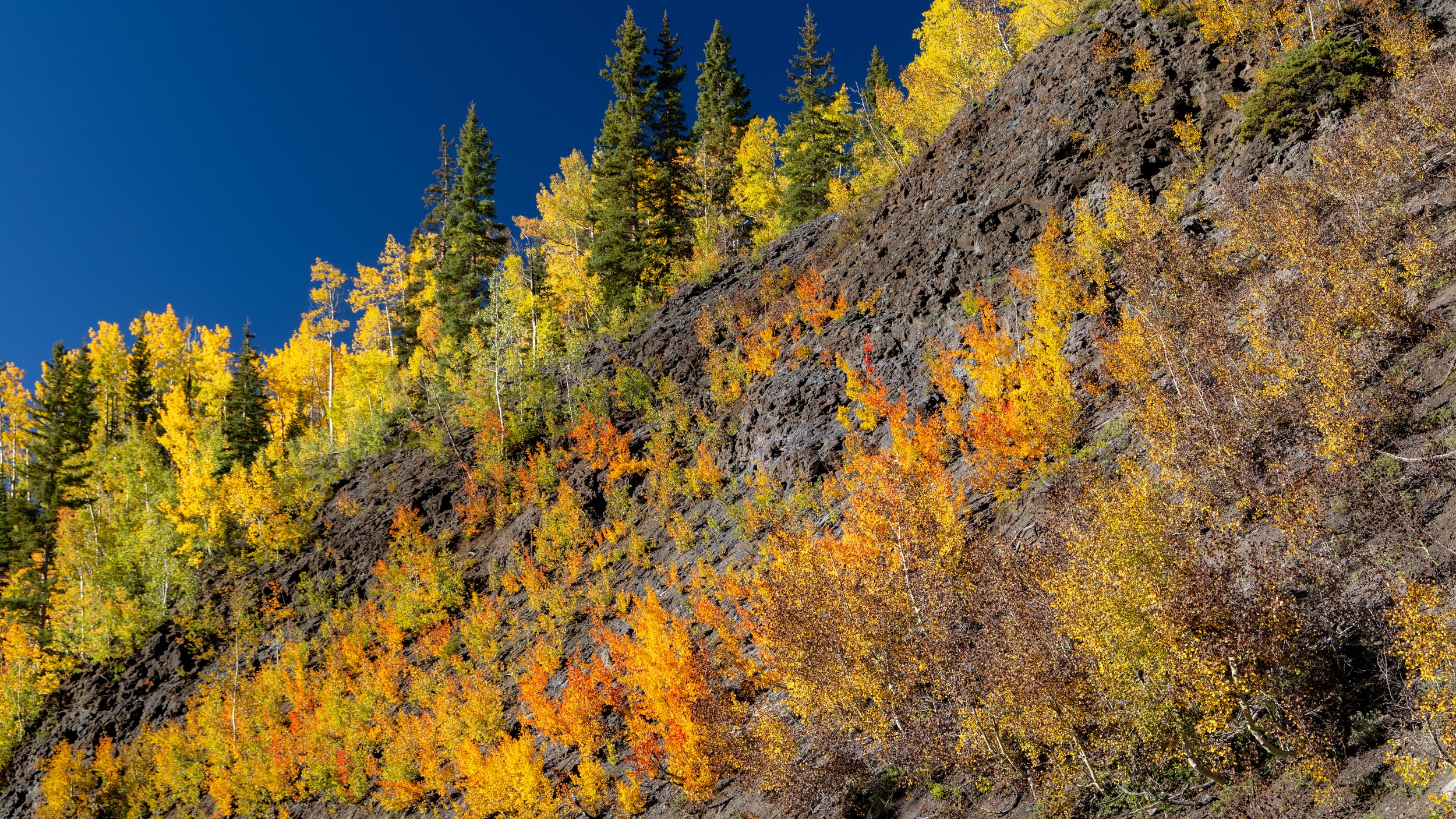  Hillside Fire - The Beautiful Kind - Southwestern Colorado 