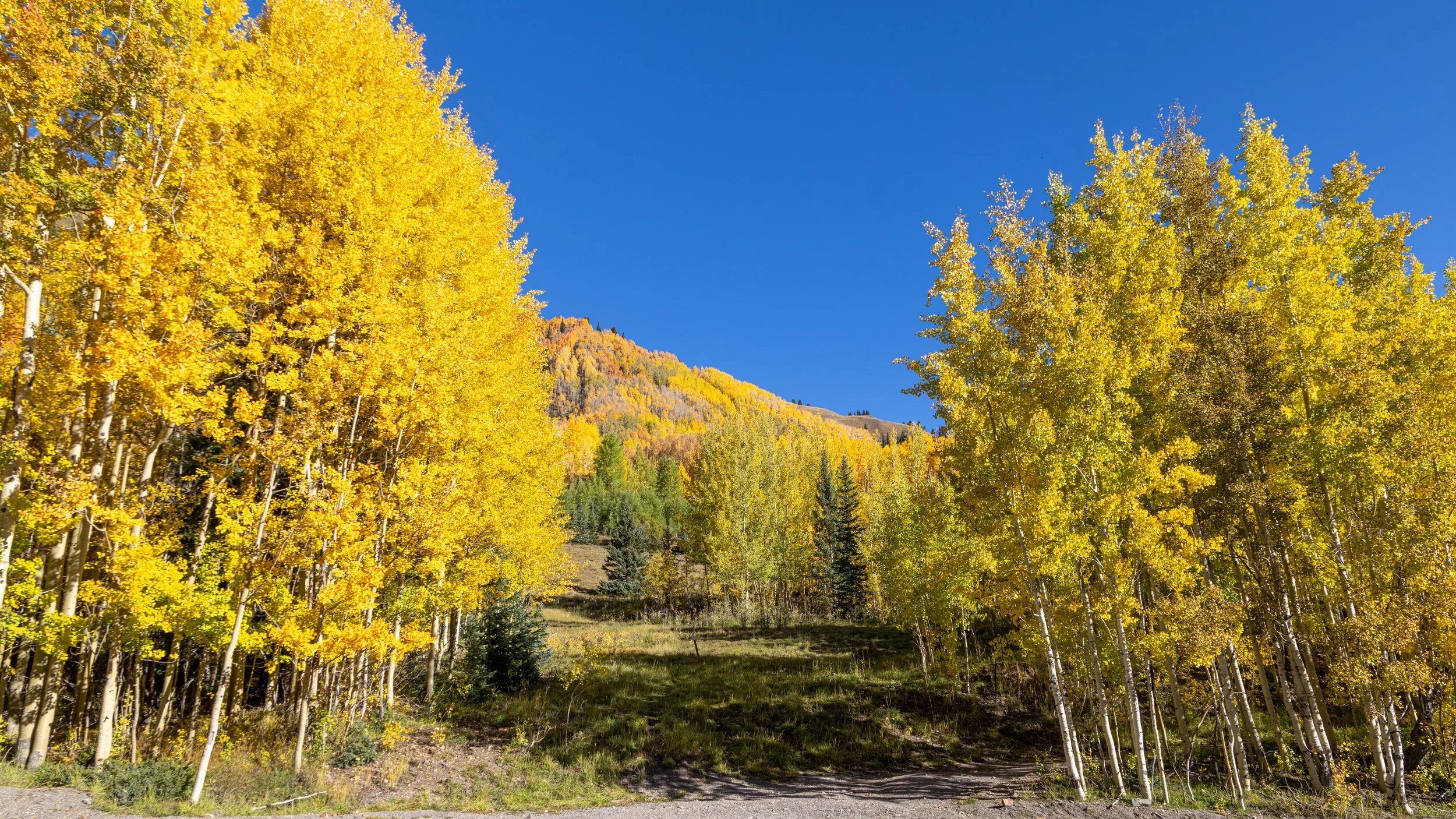  The Path Forward - Southwestern Colorado 