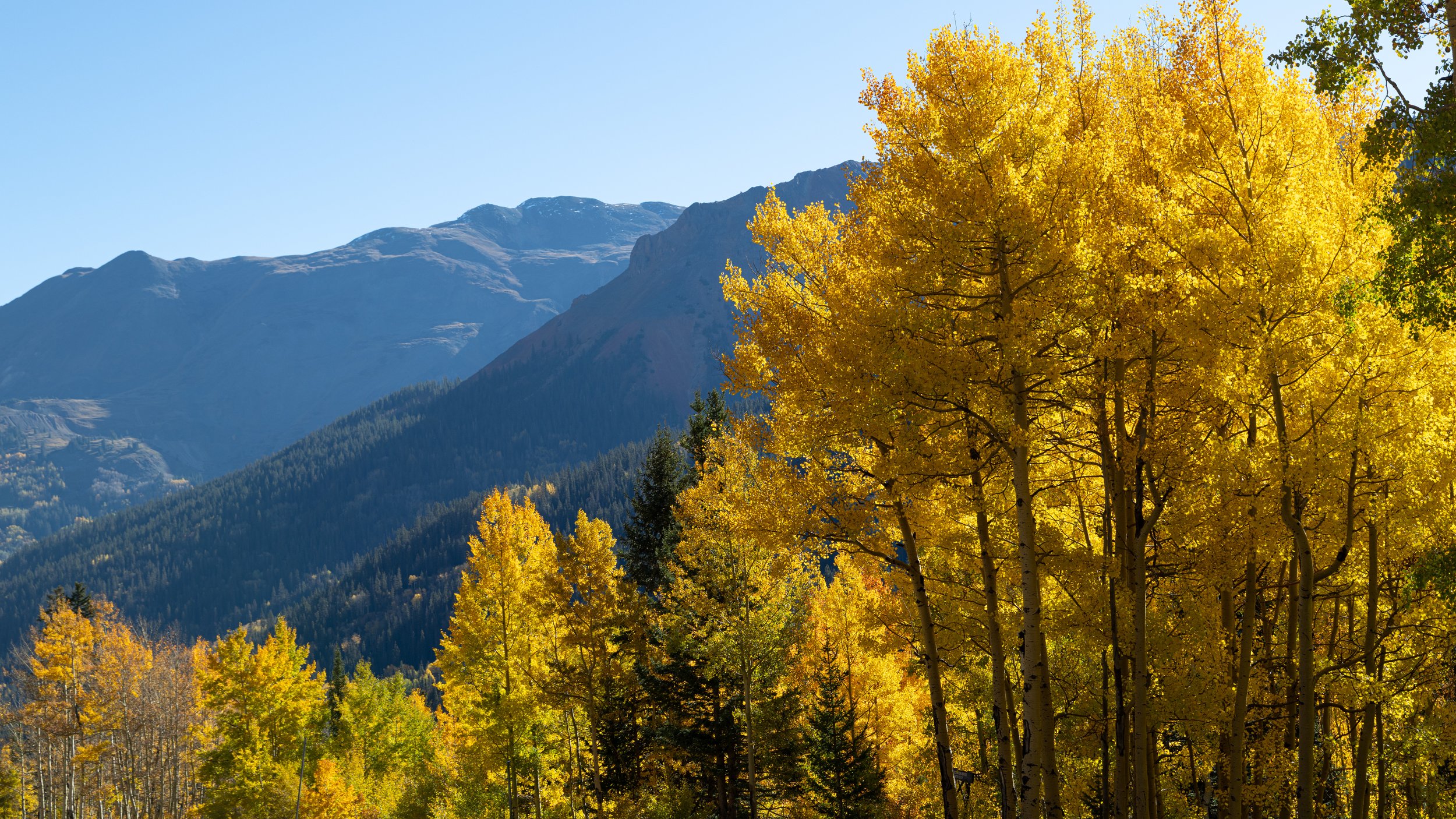  Step Aside - Southwestern Colorado 