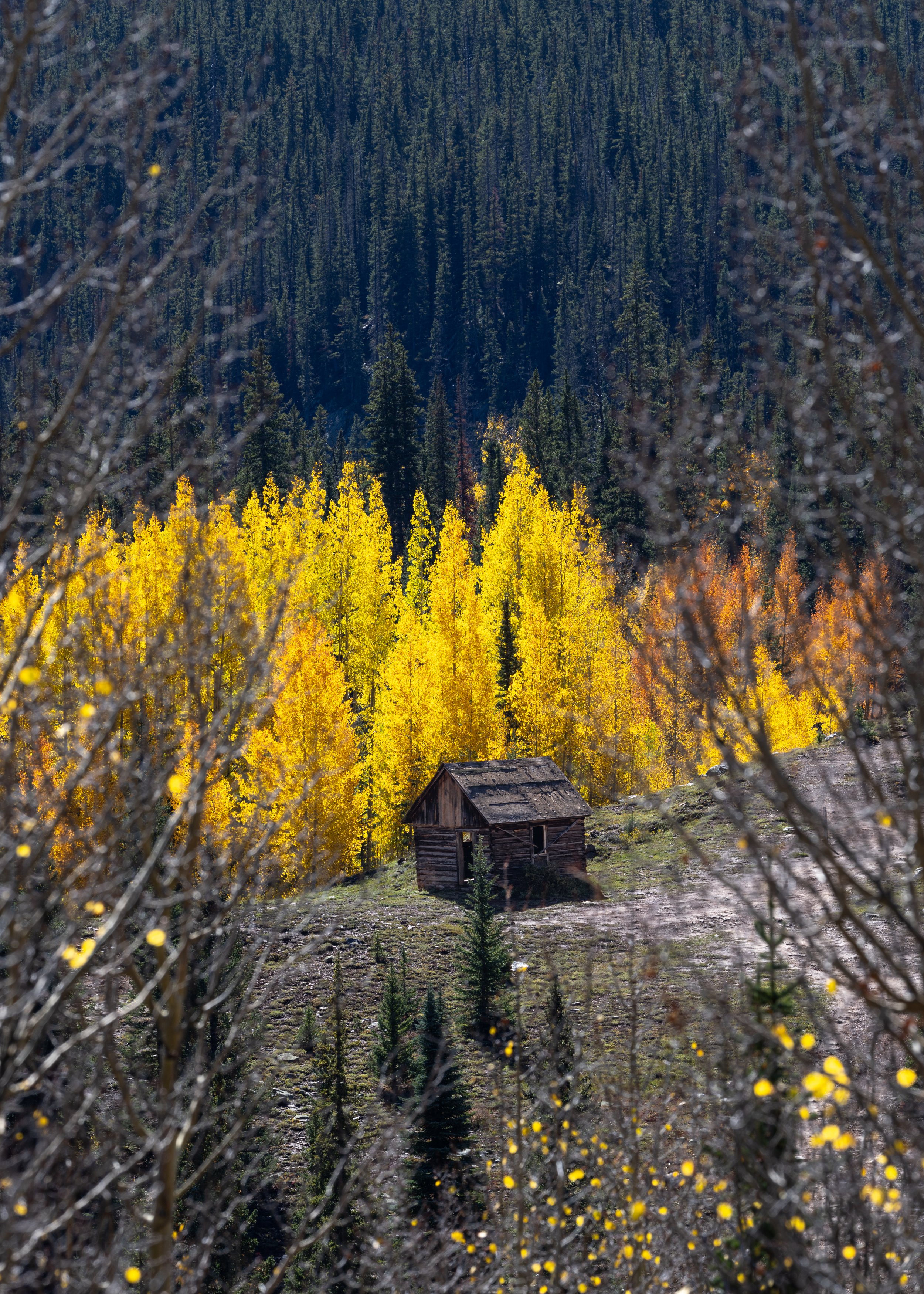  The most photographed little cabin in Southwestern Colorado, near Molas Pass Summit. 