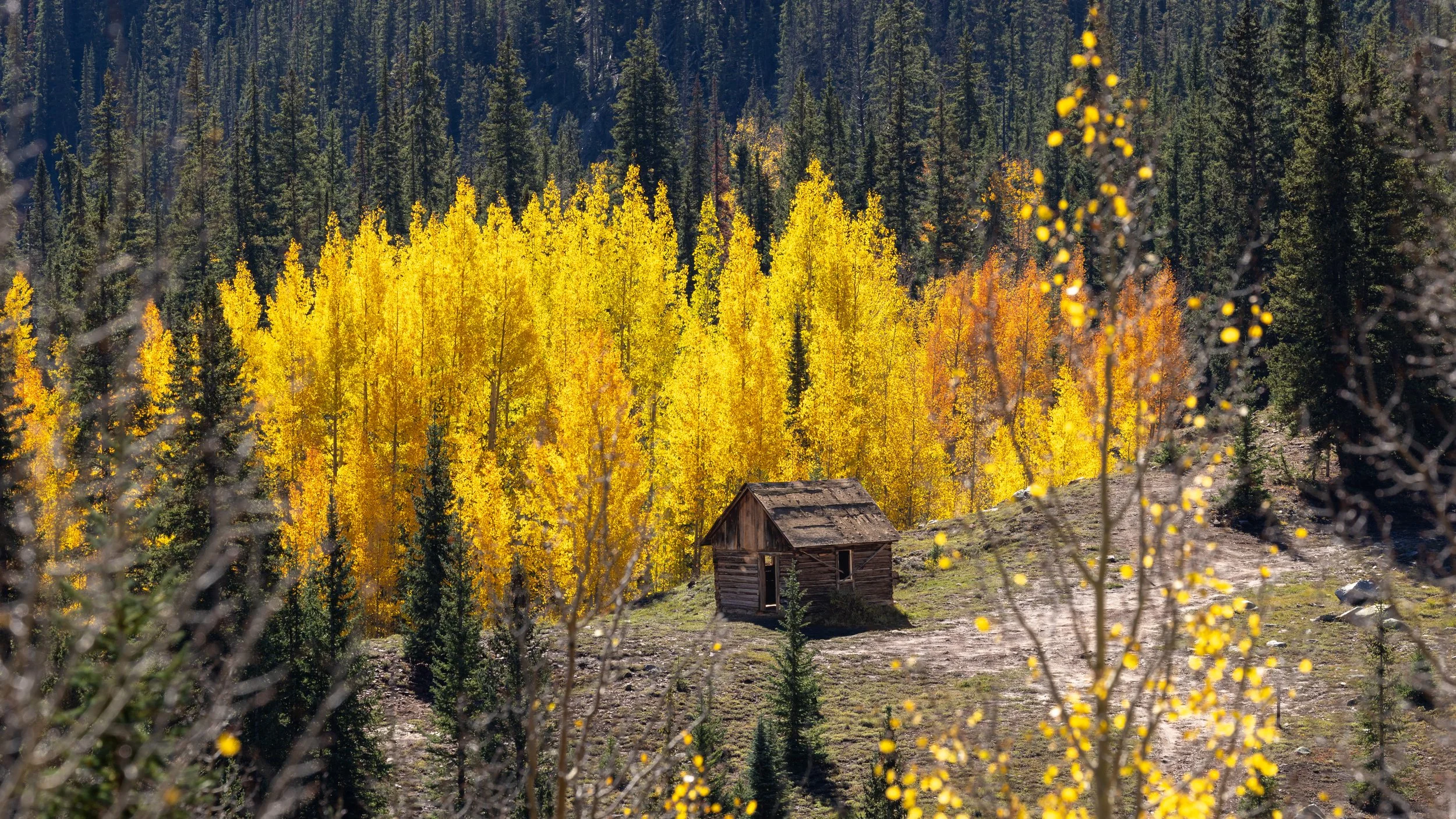  The Forest is on Fire behind this famously photographed little cabin - Southwestern Colorado. 