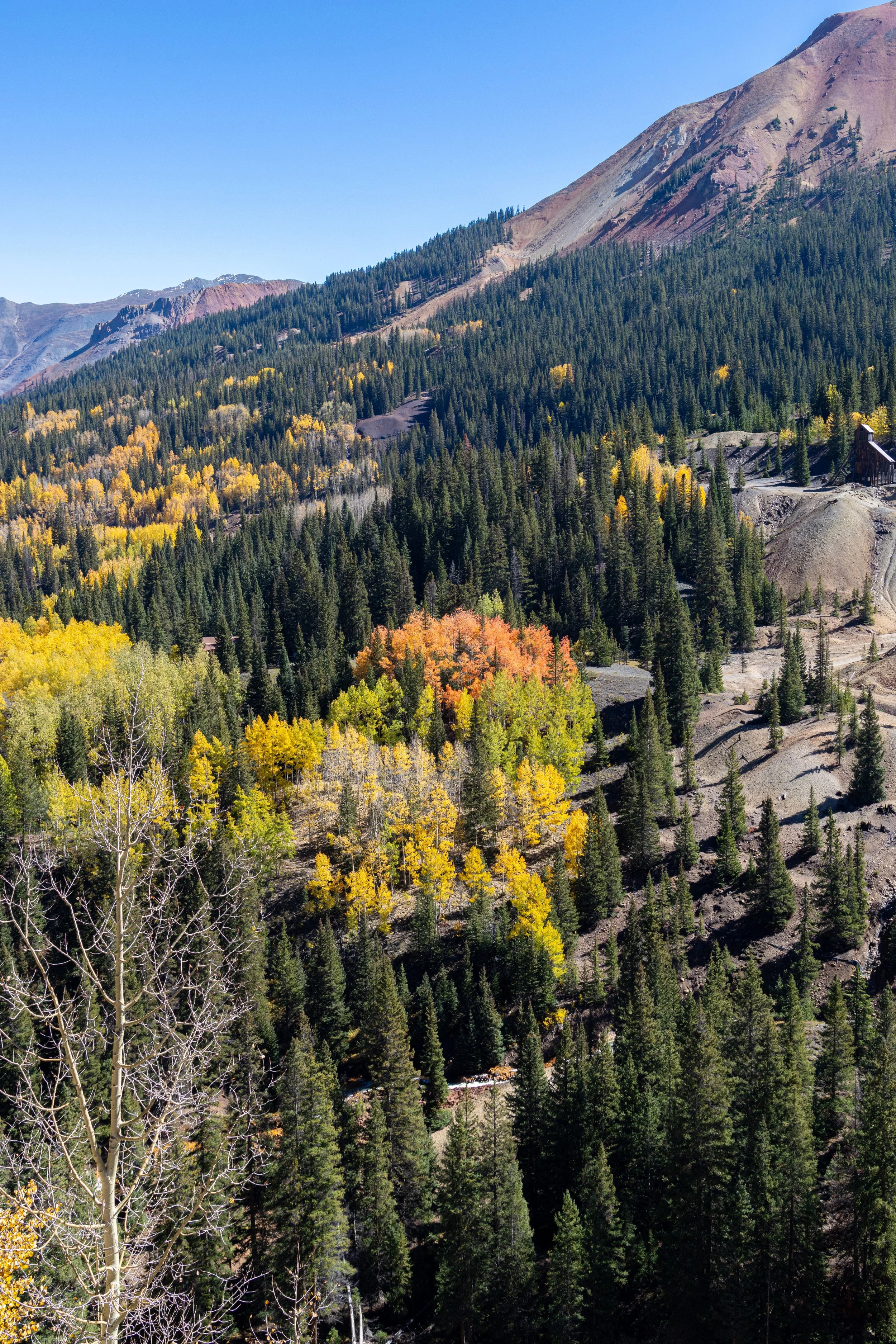  Multi-colored Landscape - Southwestern Colorado 