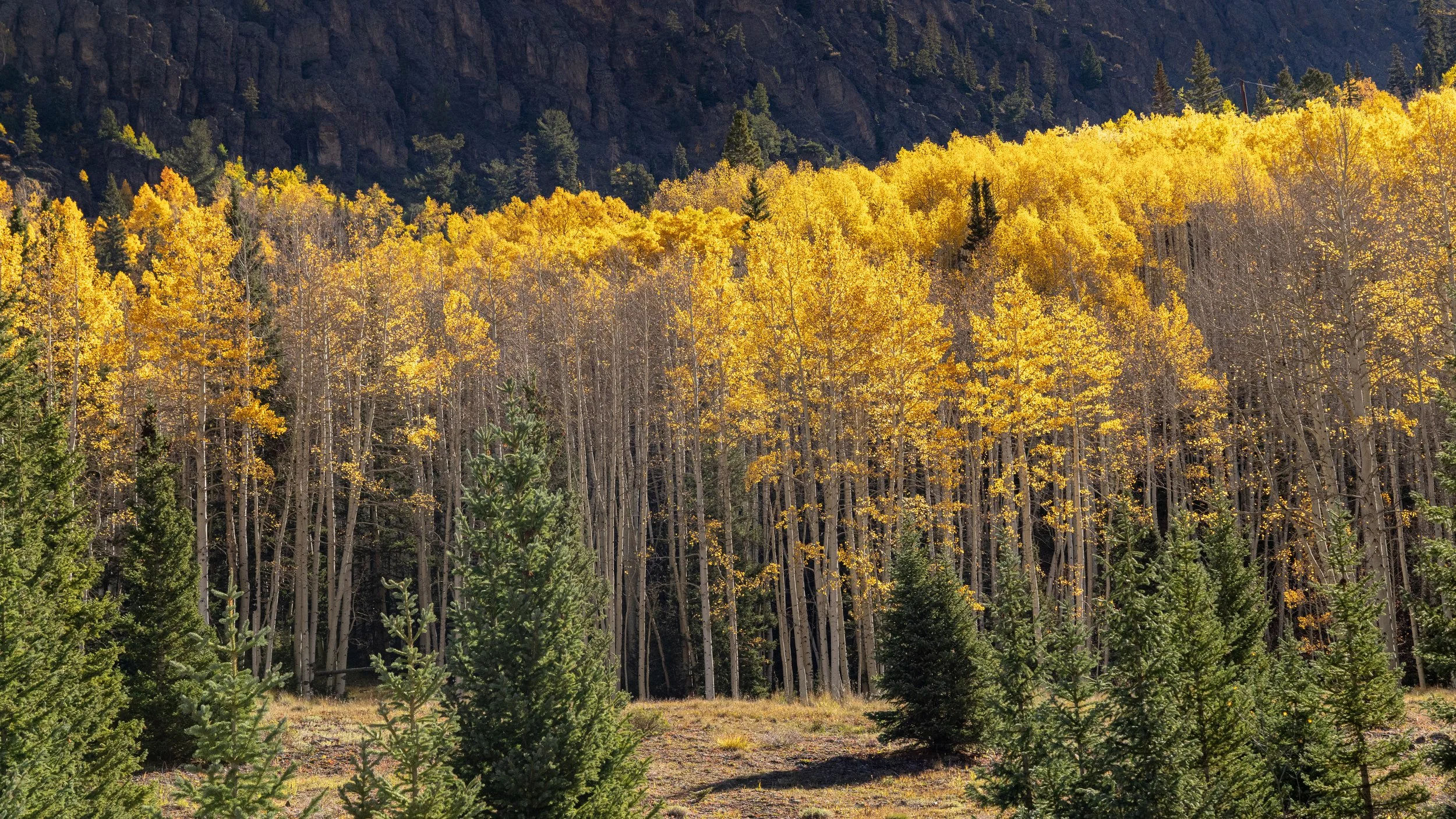  Fire Line - Southwestern Colorado 