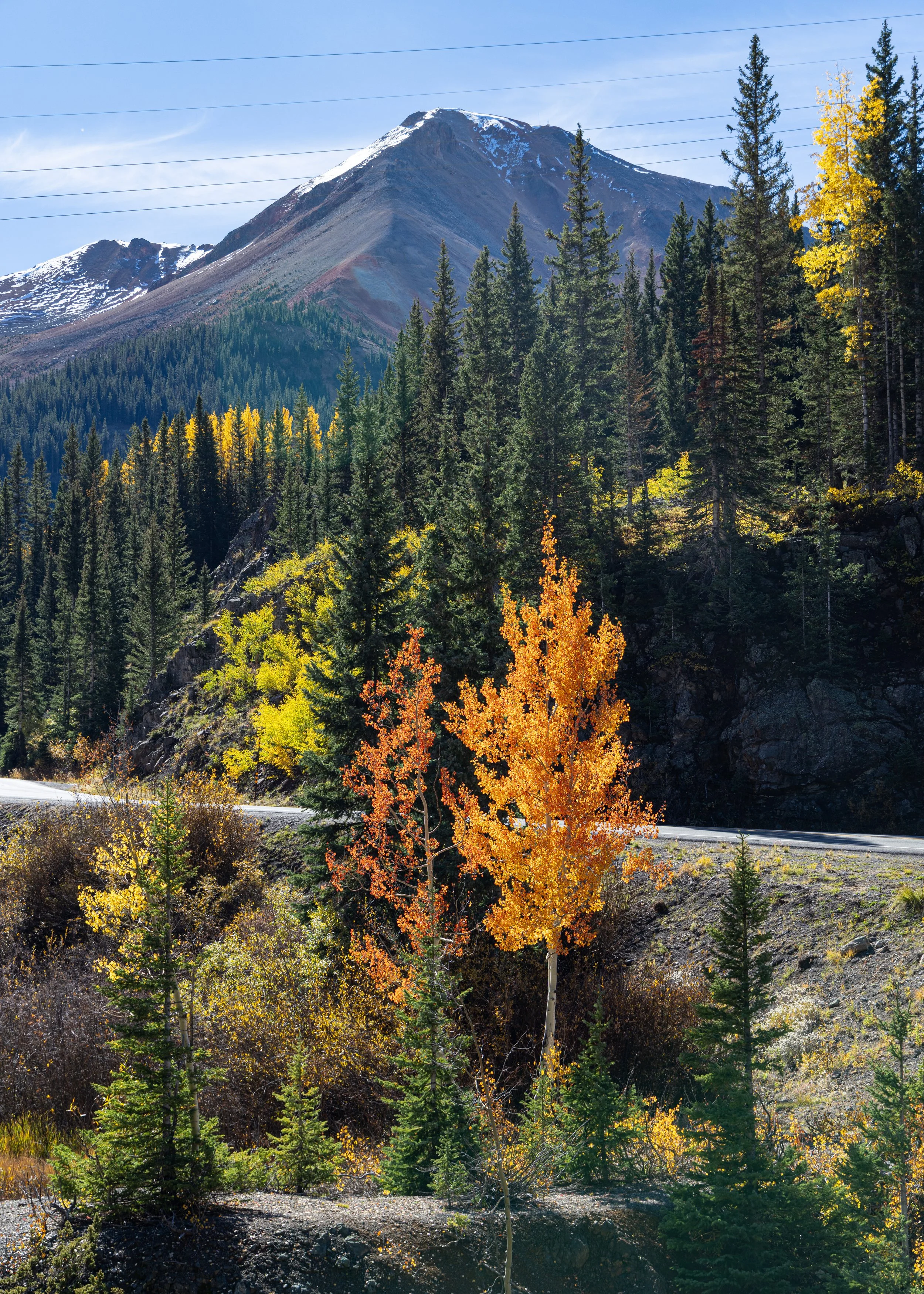  On Fire - Highway 550, Southern Colorado 