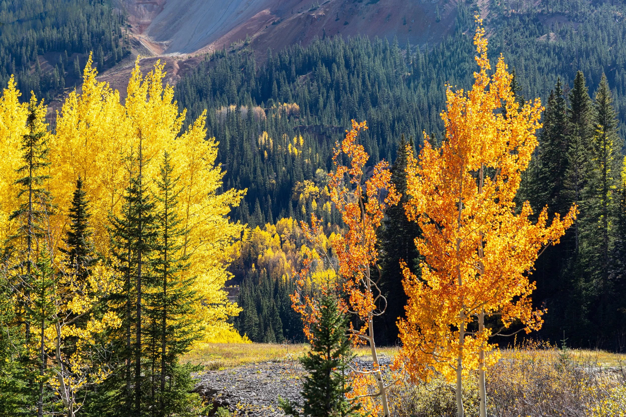  Nature, showing off! - Southwestern Colorado 