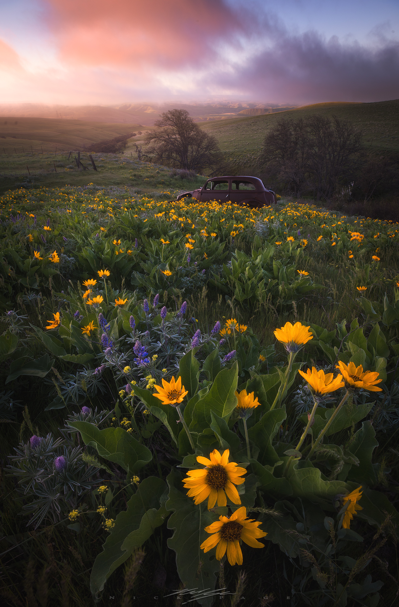 Dalles-mountain-ranch-sunrise.jpg