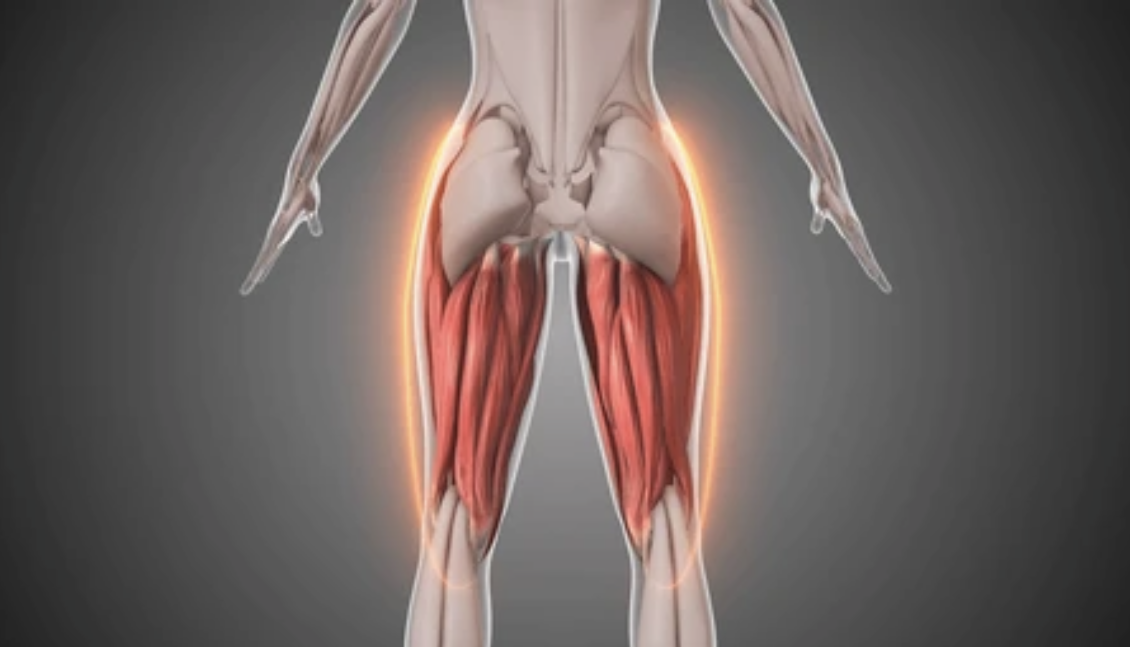Hamstrings: More than just a muscle to stretch