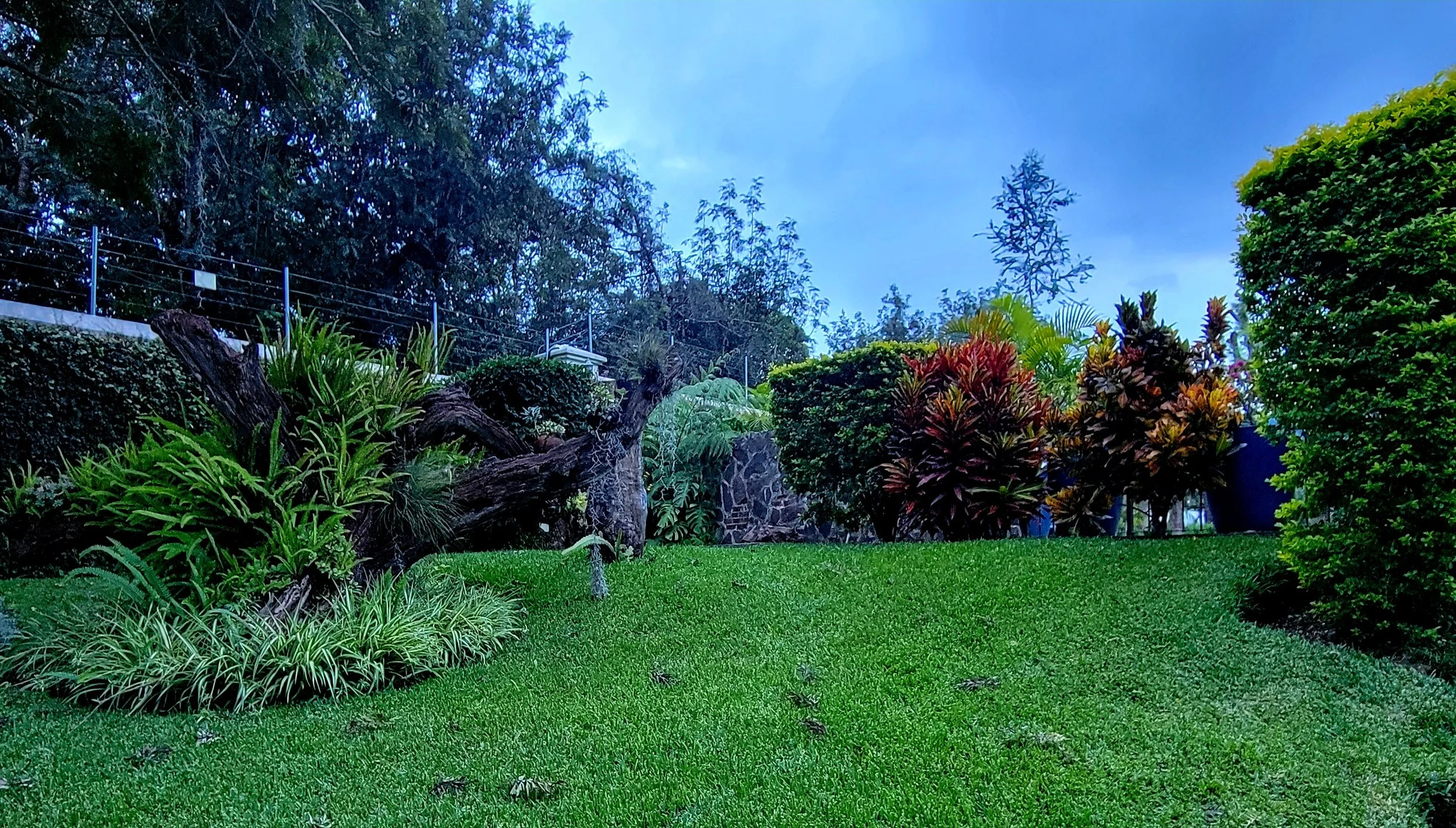 20251104_171139.jpg