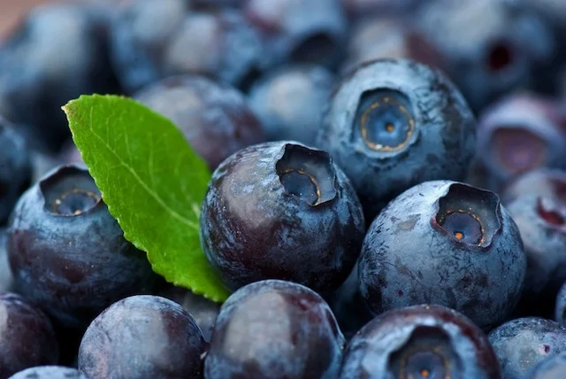 Blueberries.jpg