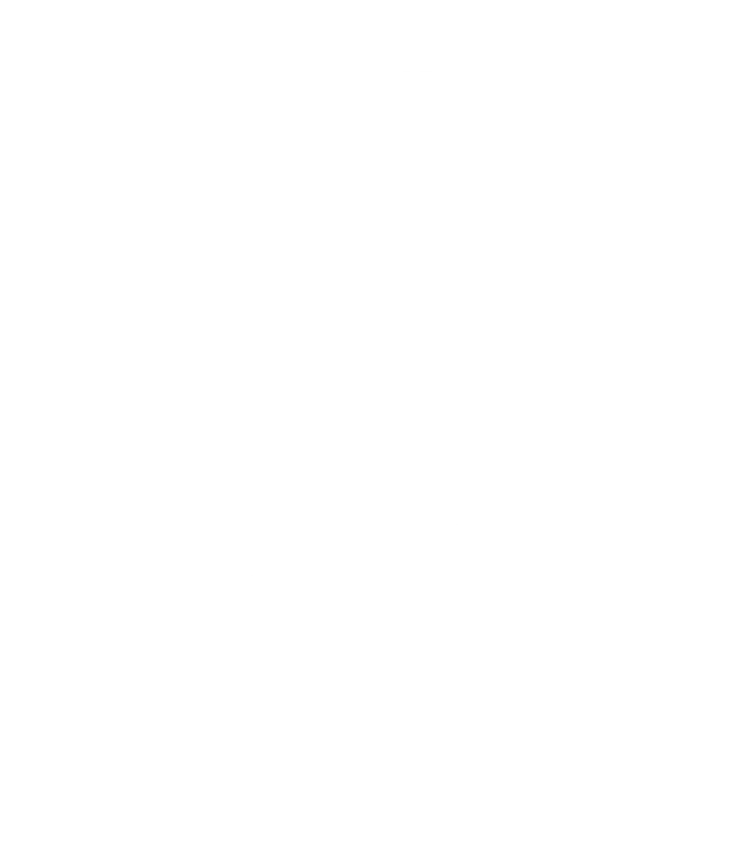 CIRQUE DU NUIT