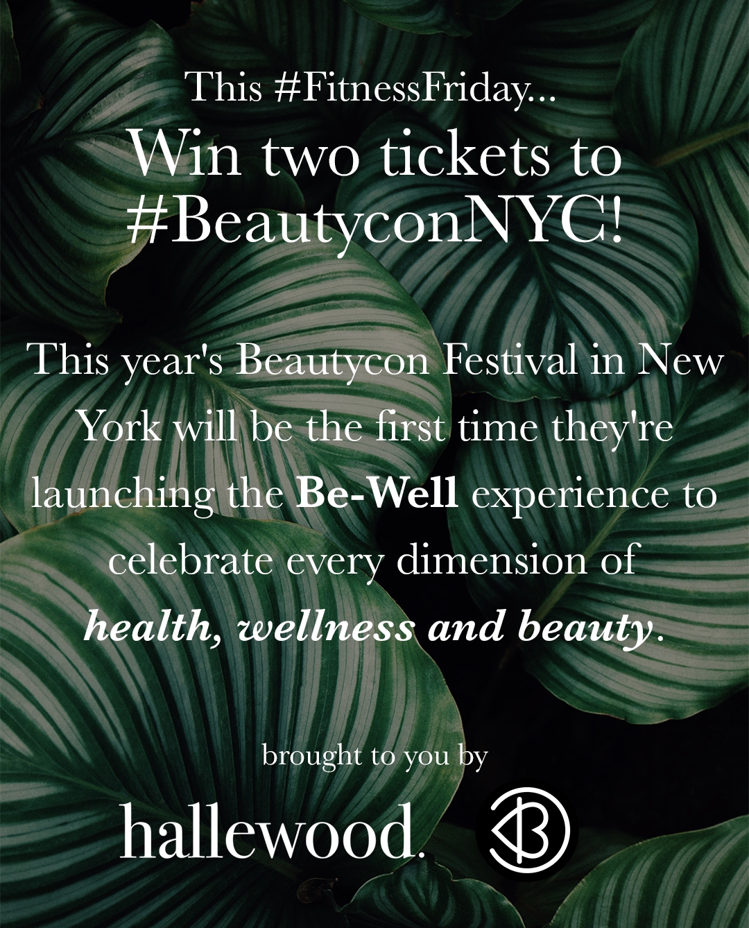 HB Beautycon IG Story V2.jpg