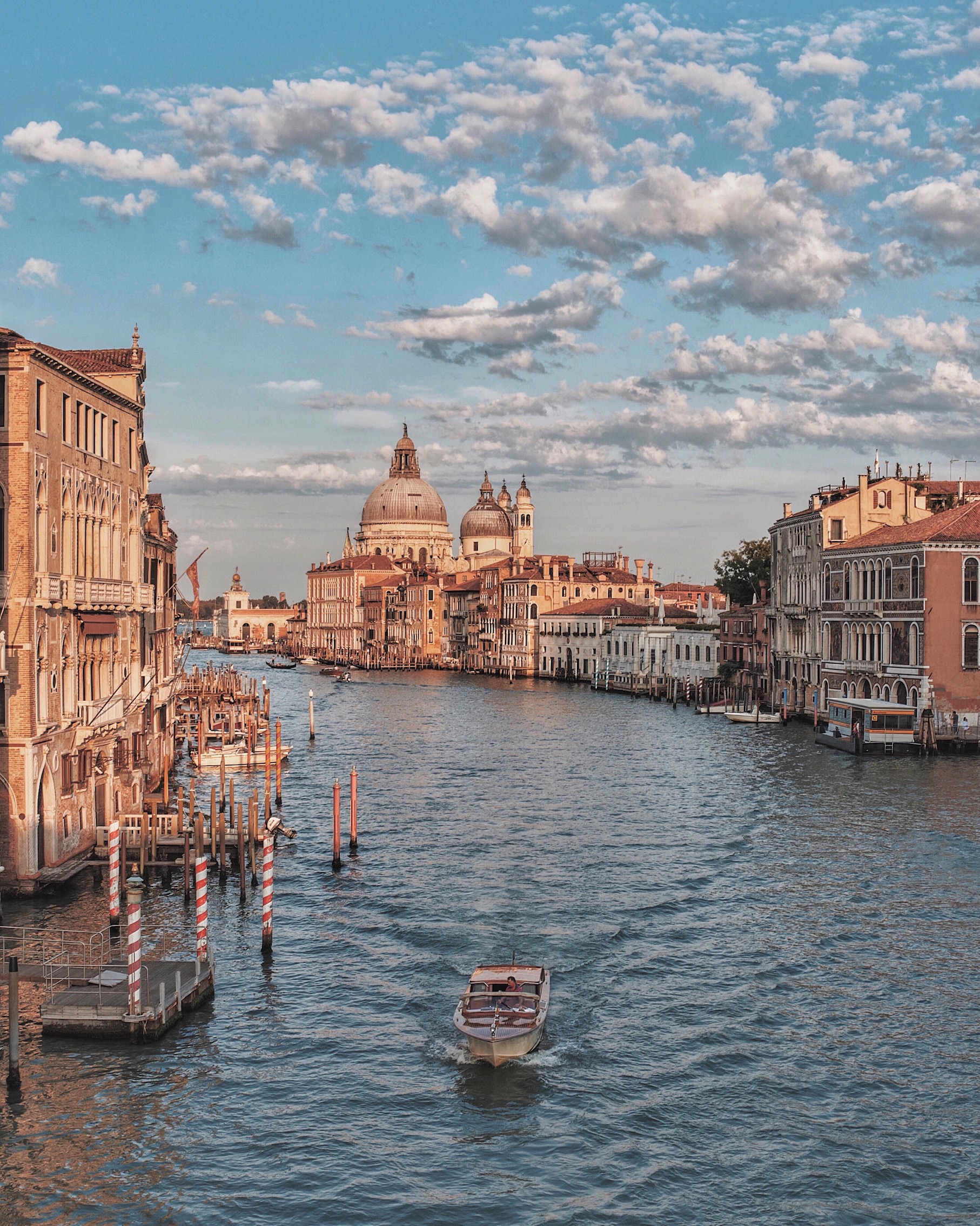 Copy of The Salute church seen from the Accademia bridge