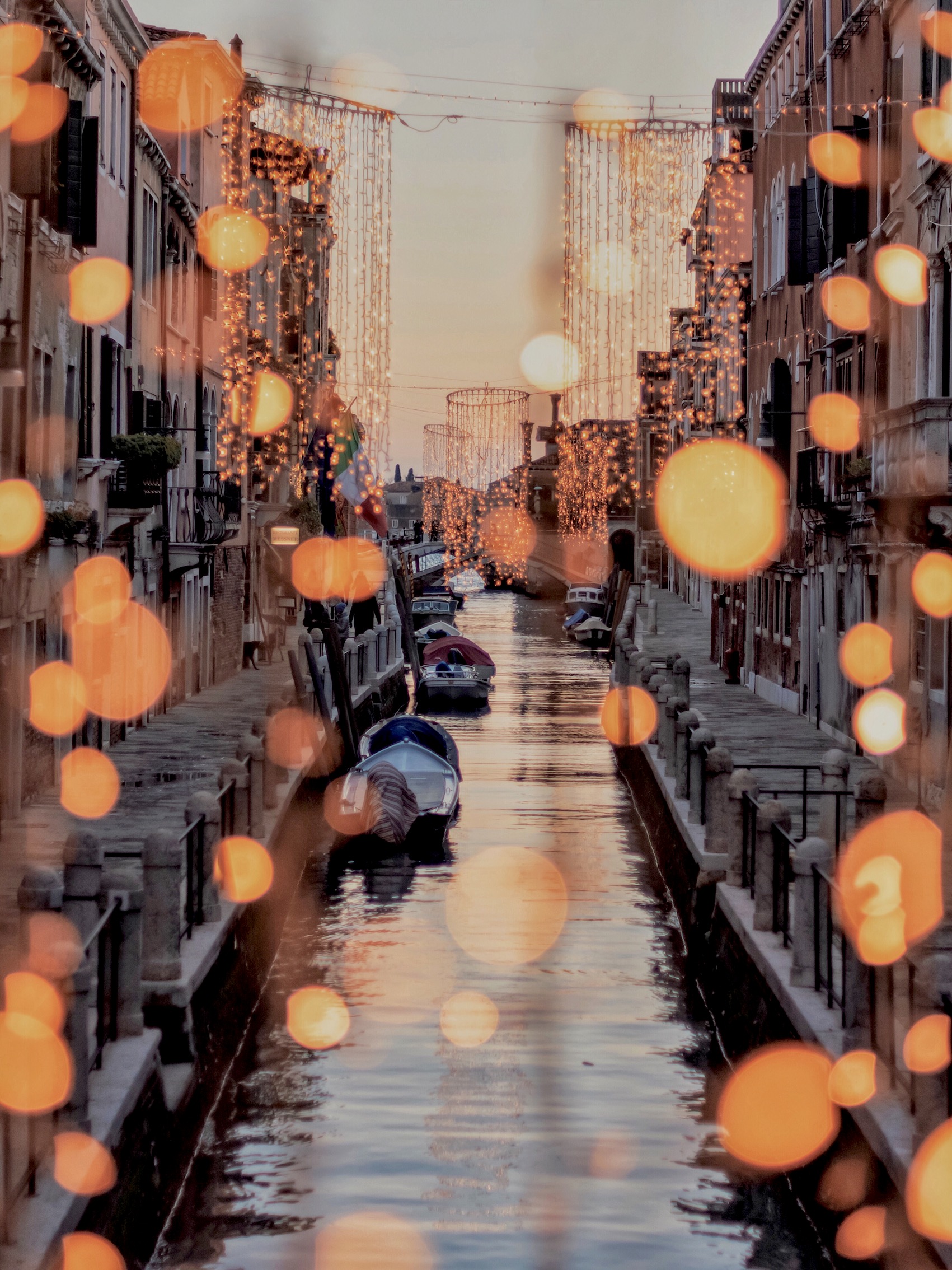 Copy of Christmas lights