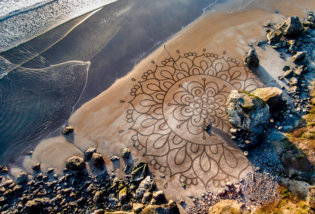 'Prayer Flower II', 2015. Stinson Beach, CA.jpg