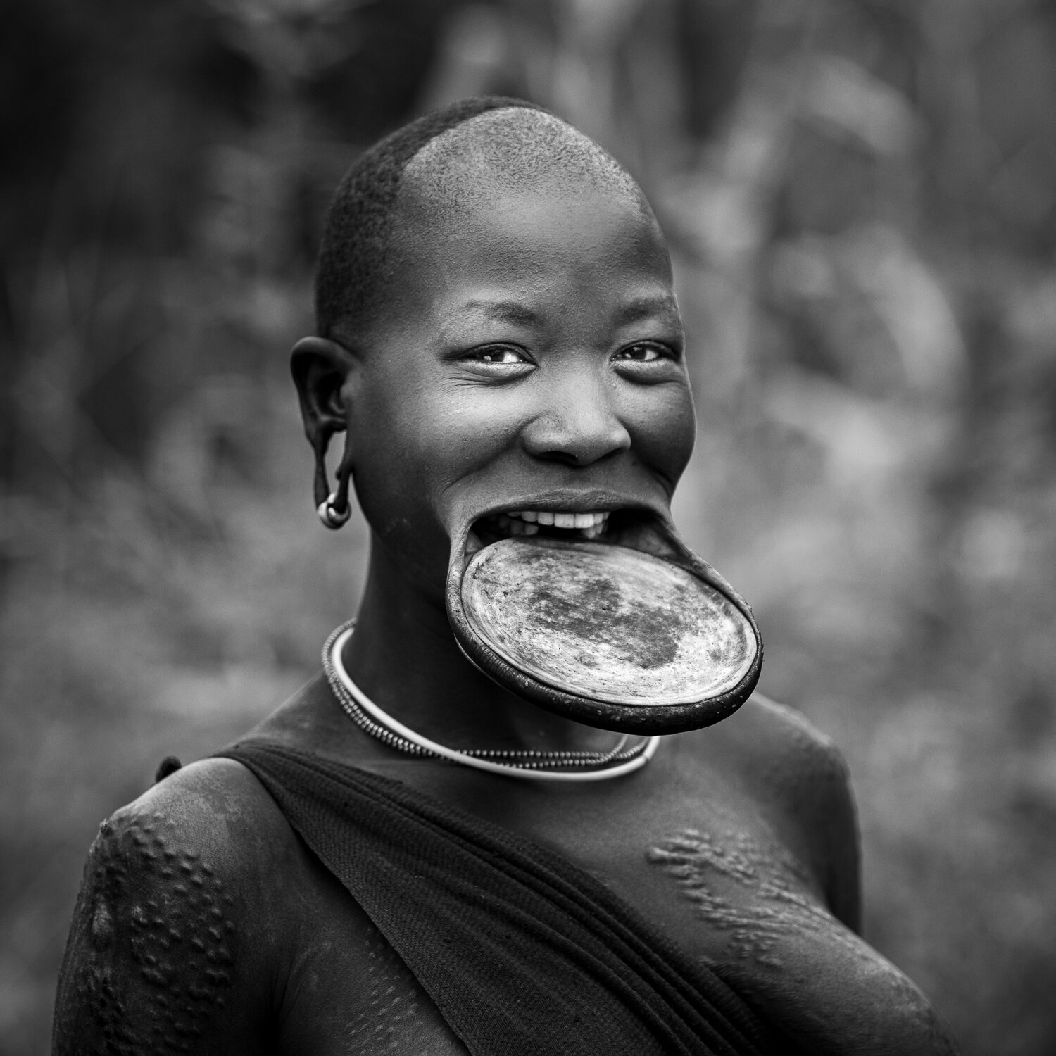  The women of the Suri and Mursi tribes have lip plates.&nbsp;They can remove them when eating or when they want to.&nbsp;The larger the lip plate the more cattle a man must give to her family to marry her. In more recent years some of the younger gi