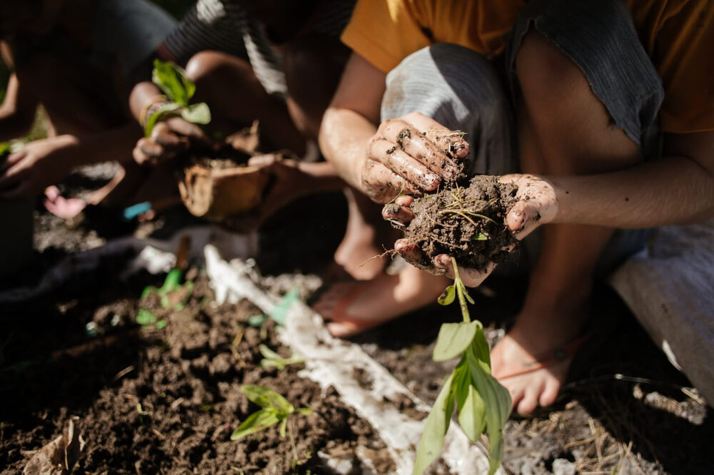 mud on little hands.jpg