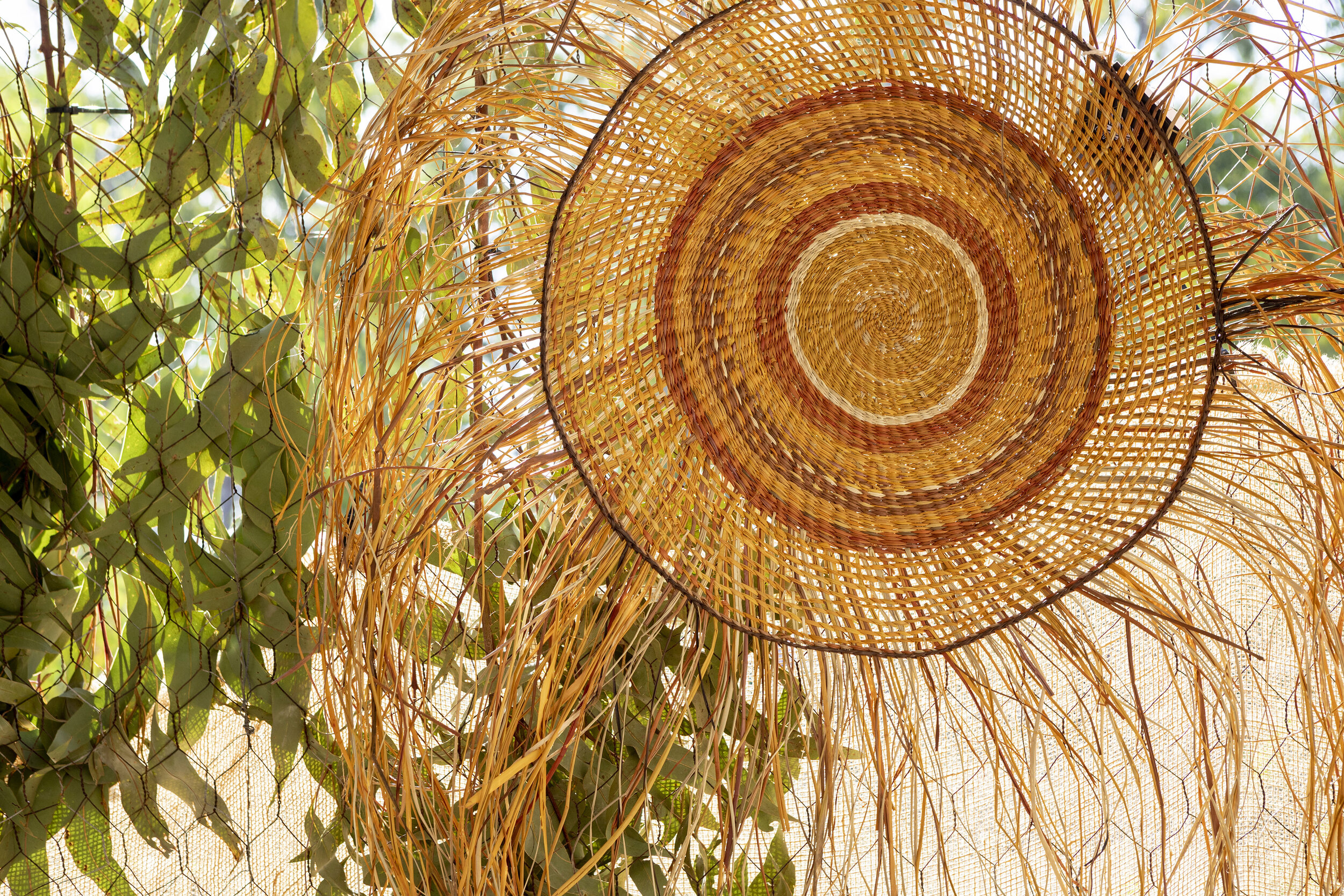  Skilled  Yolngu  artisans create beautiful, naturally-dyed, hand-woven pieces out of pandanus leaves. 