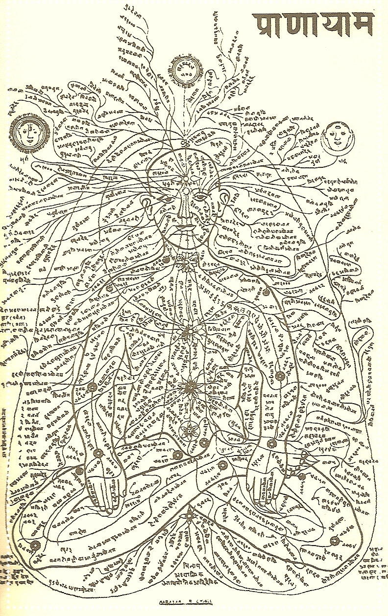 Nadi Map.jpg