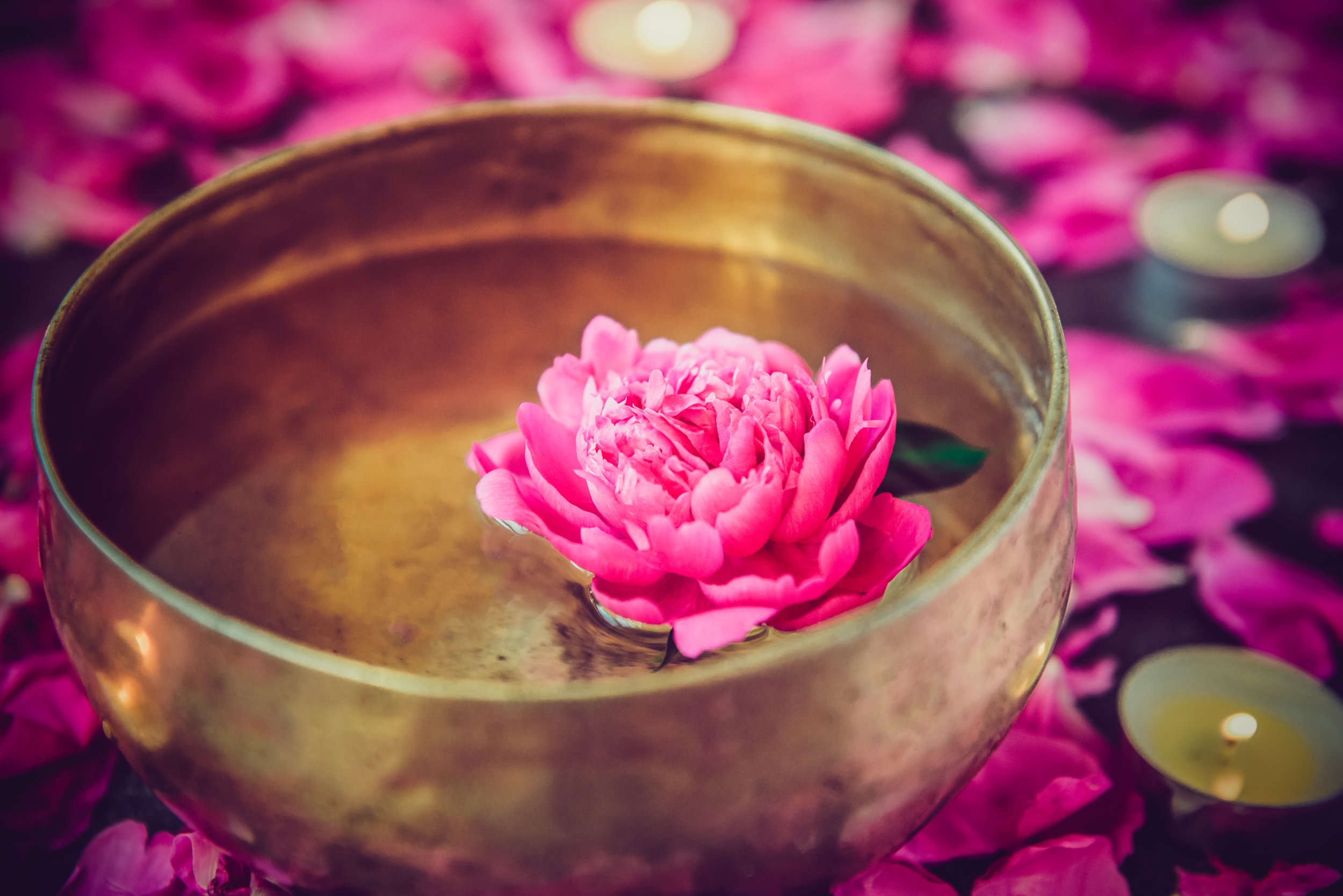 roses-floating-in-bowl.jpg