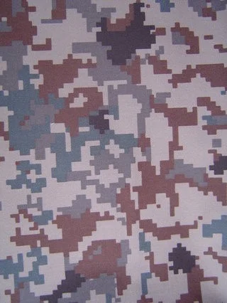 JASDF Digital Camouflage: Air Self Defense Force pixelated digital camouflage pattern first introduced in 2009.