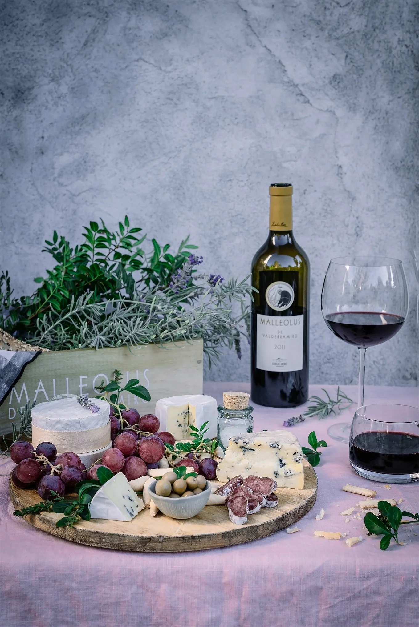 Bodegas Emilio Moro - Malleolus