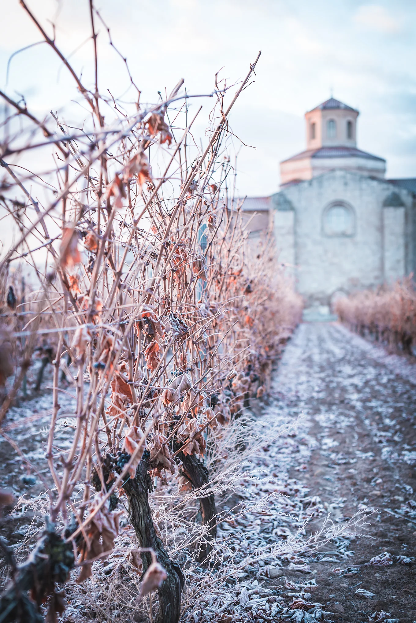 Castilla termal - Monasterio de Valbuena
