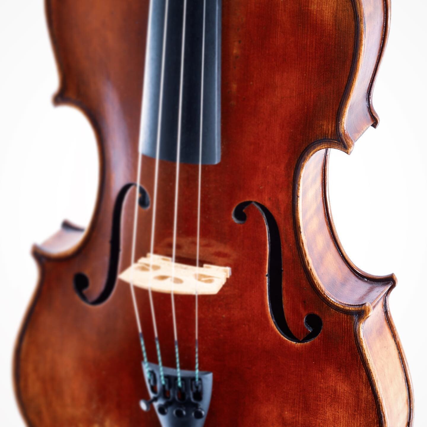 The Jay Haide L&rsquo;Ancienne viola - Strad model. Available in sizes 14&rdquo;-16&rdquo;. A superb instrument for serious students and professional players. Professional setup as always by Stringers&rsquo; in-house luthiers. #jayhaide #violas #stri