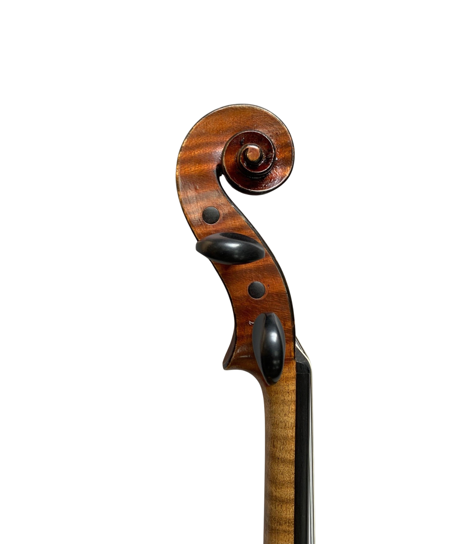 VLN2417 3 - Edited.png