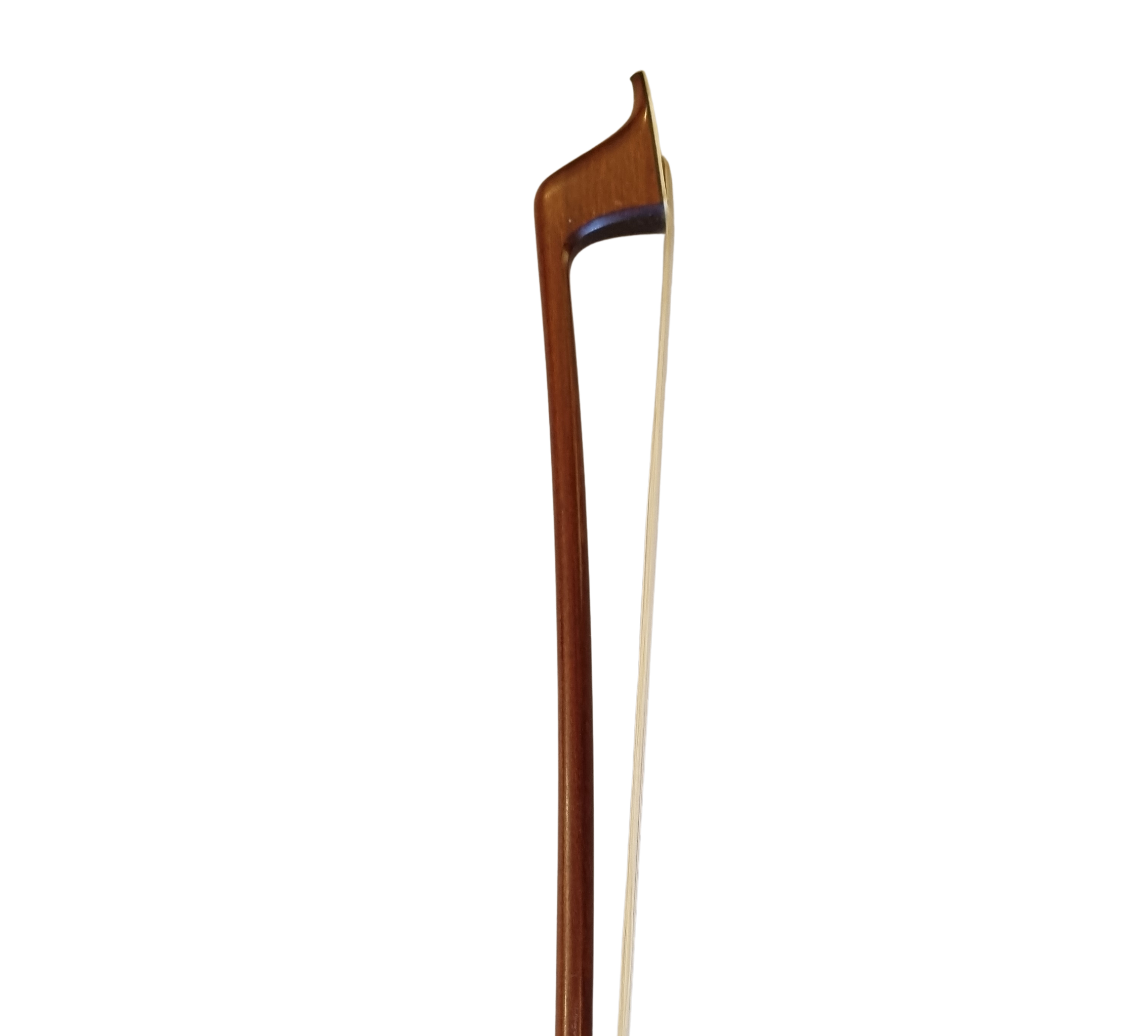 1000035300.jpg - Edited.png