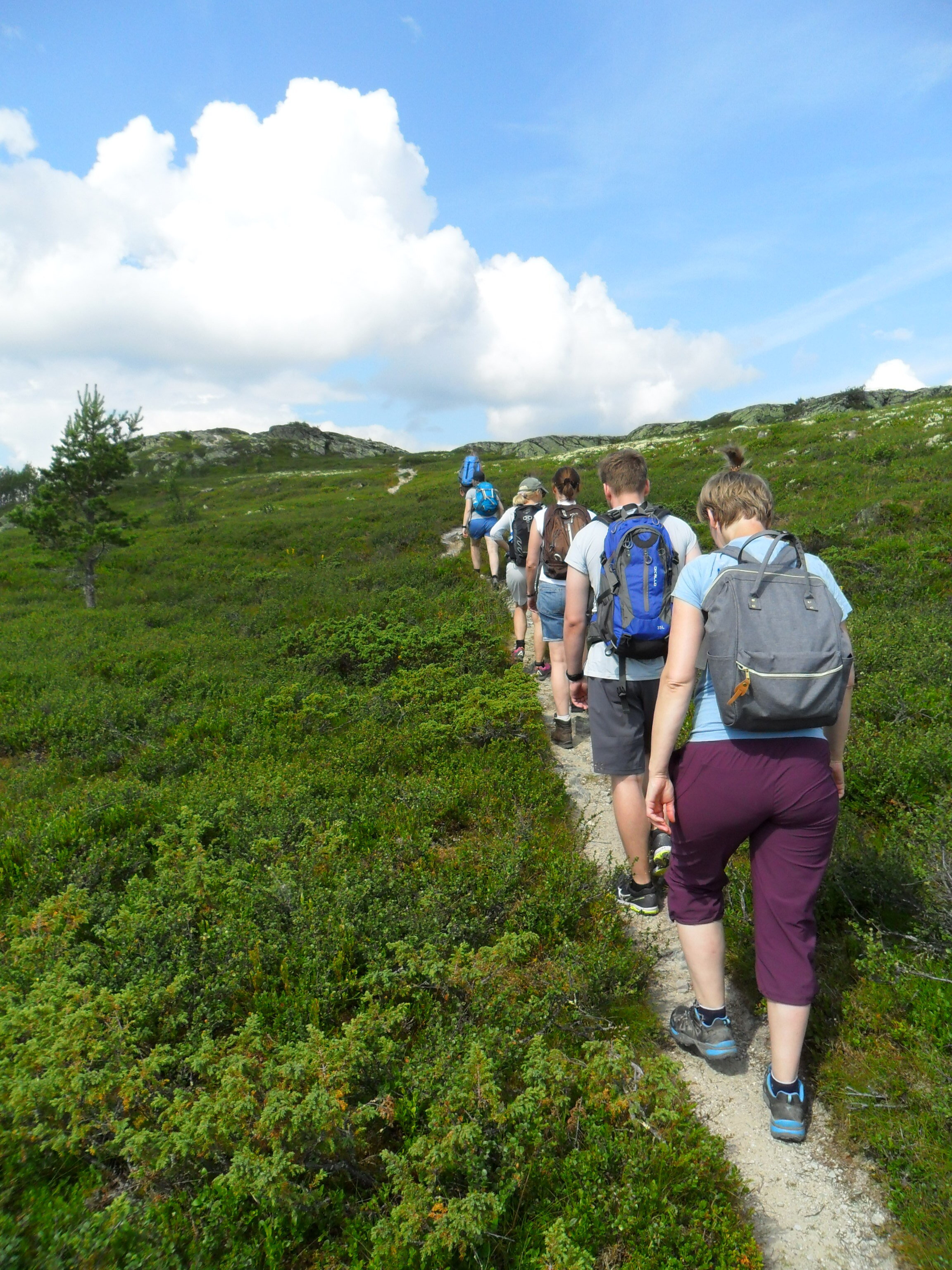  Yogaretreat på fjellet med deltakere fra tidligere år. Alle bilder Sigrun Aaen Holst (Copy)