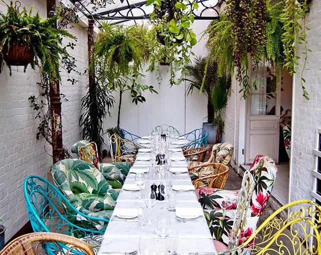 How many ferns are too many? Asking for a frond. 🌱🌿