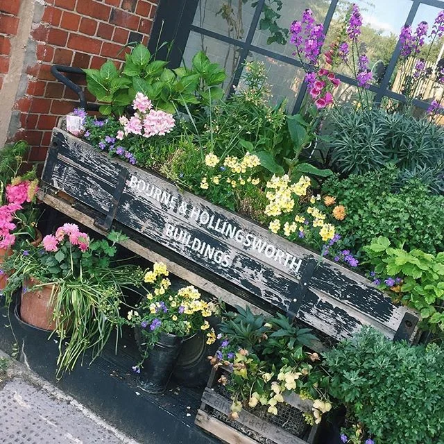 Warm out here in London. Don't forget to water your plants! #regram @lolafaith 🌱💦