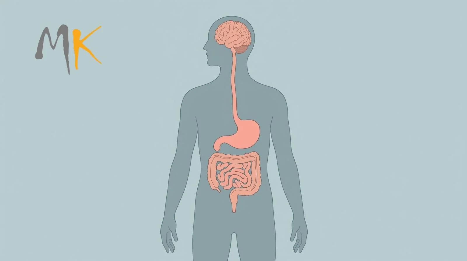 Gut Brain Connection
