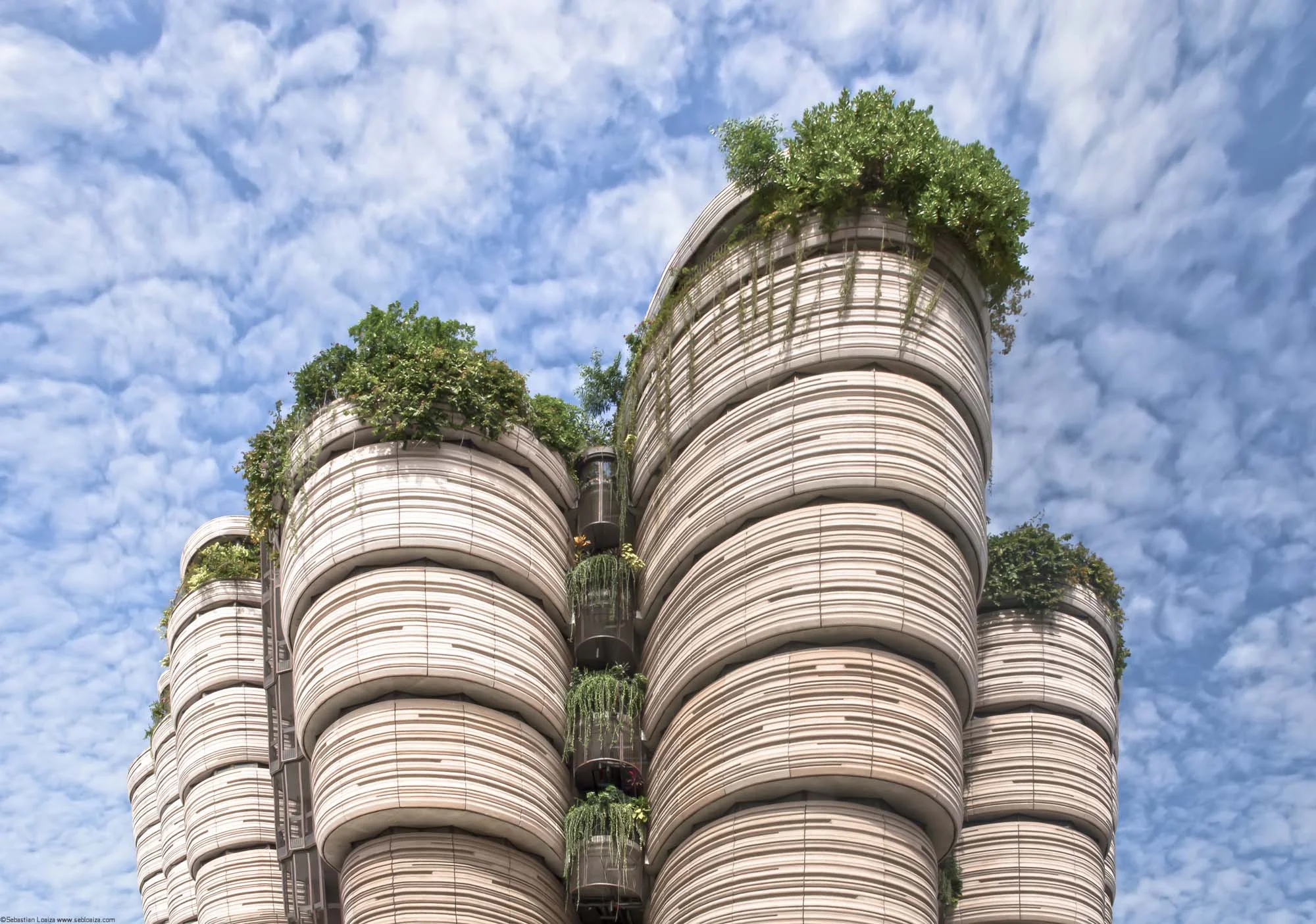 The Hive, Learning Hub NTU by Heatherwick
