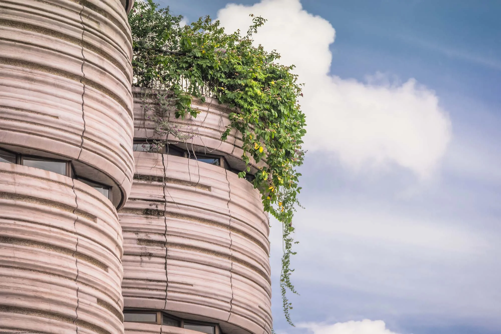 The Hive, Learning Hub NTU by Heatherwick