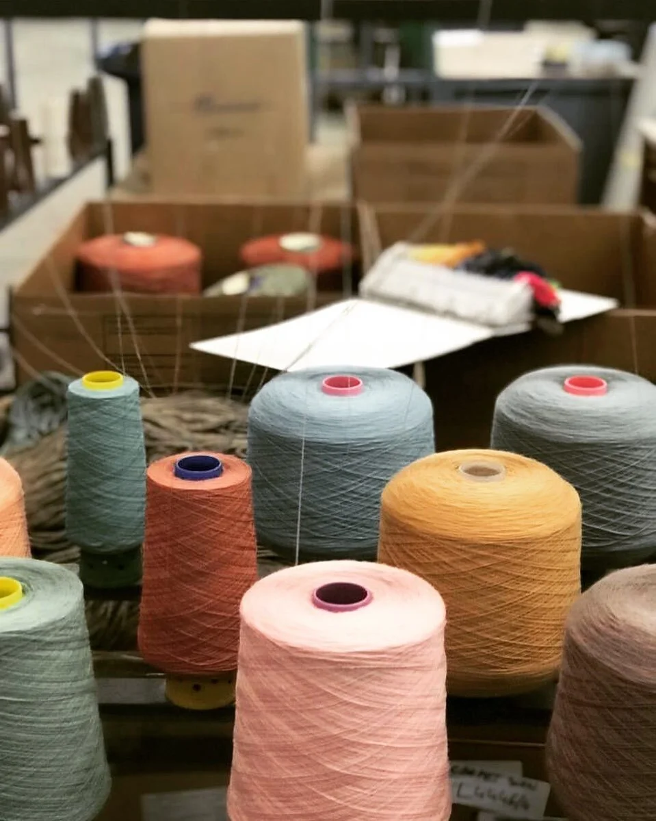 Carpet Sign_Cones.JPG