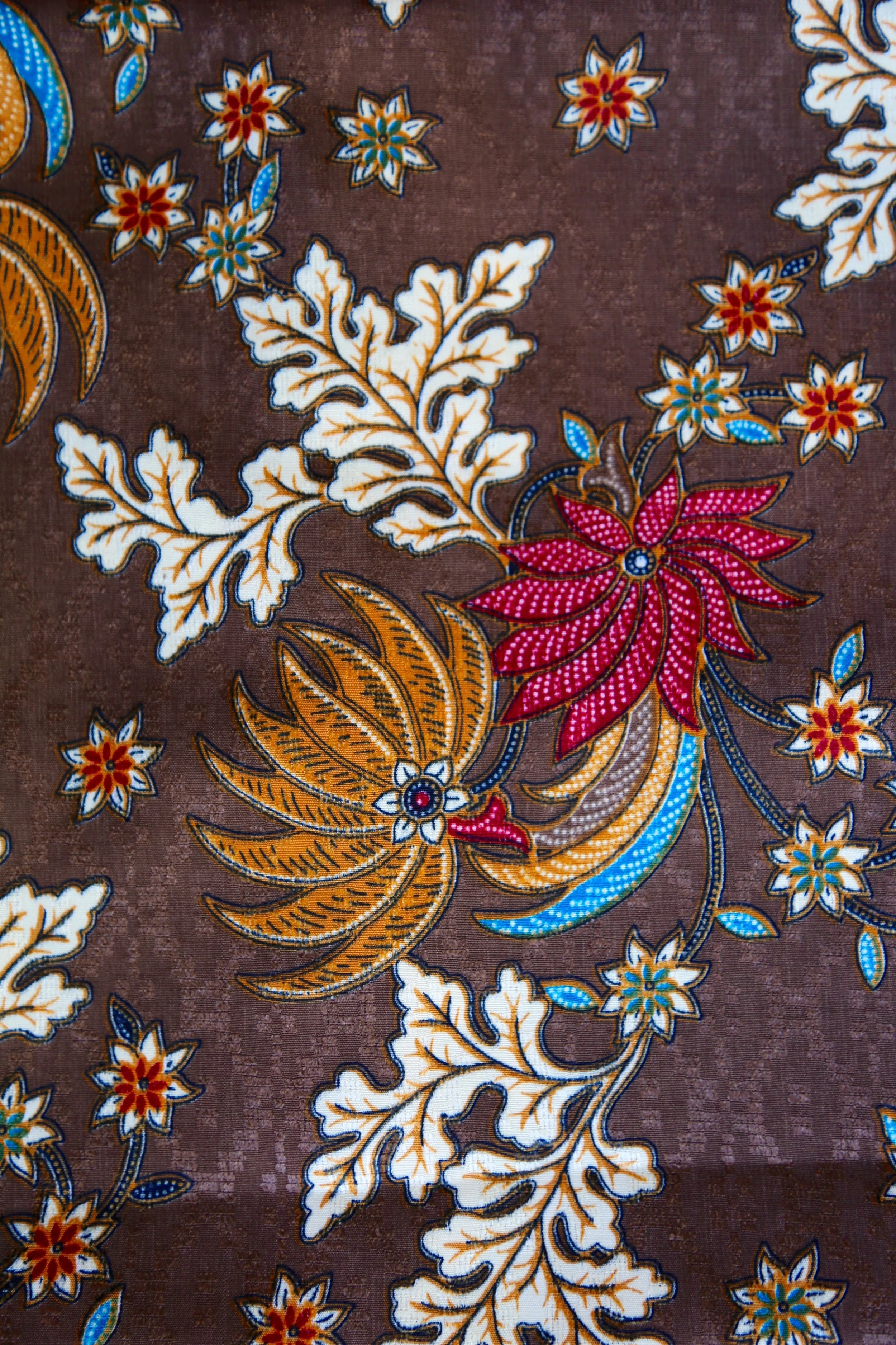 B91A1627.jpg