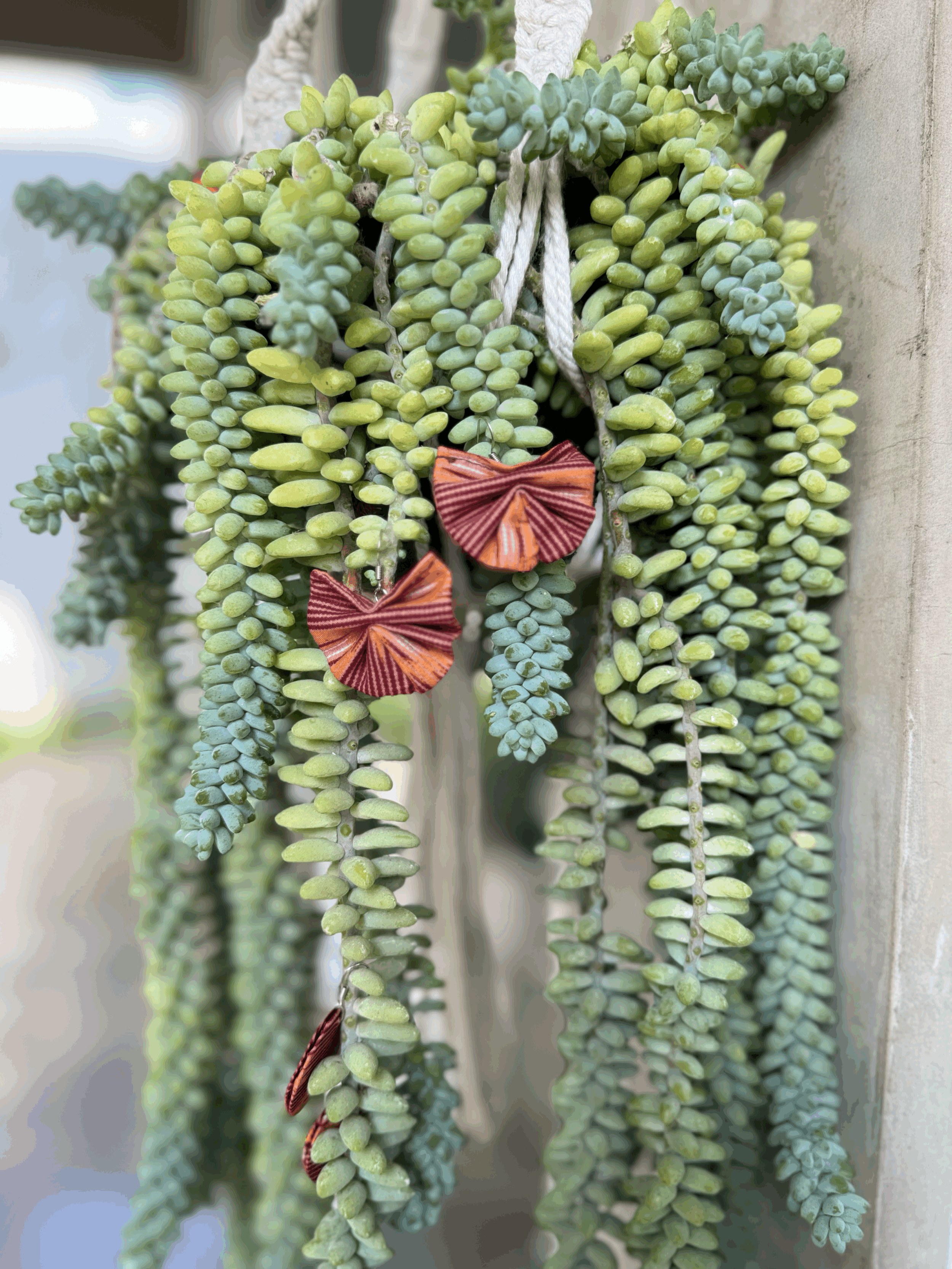 Ruffled Batik Earrings