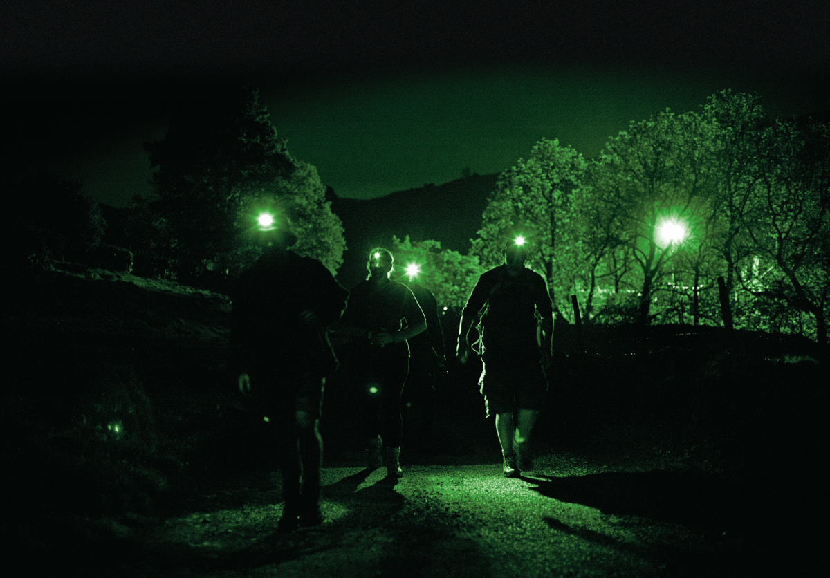 57393_green_Extended_NEW_VERSION_ij_wide.png